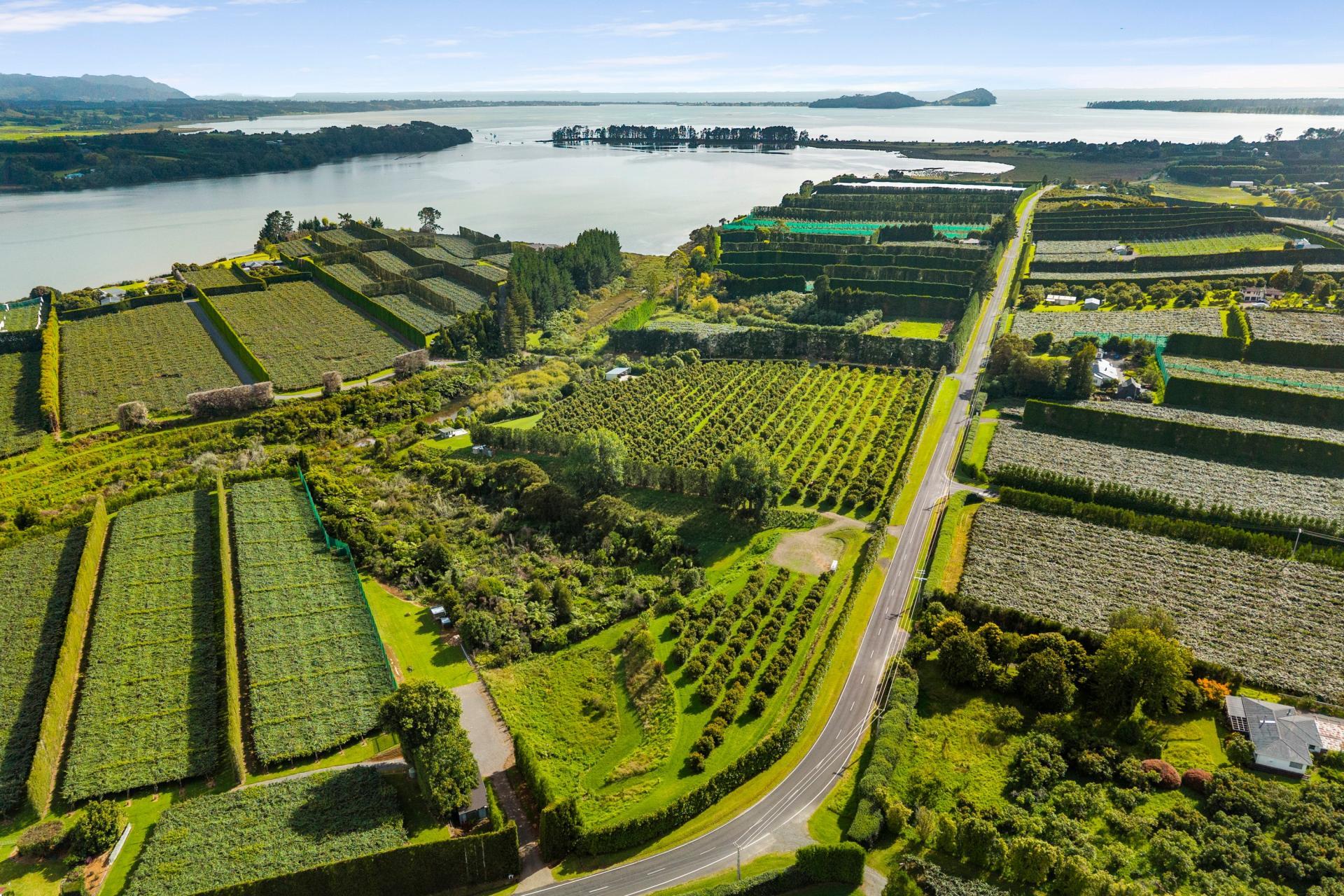 169 Tuapiro Road, Katikati