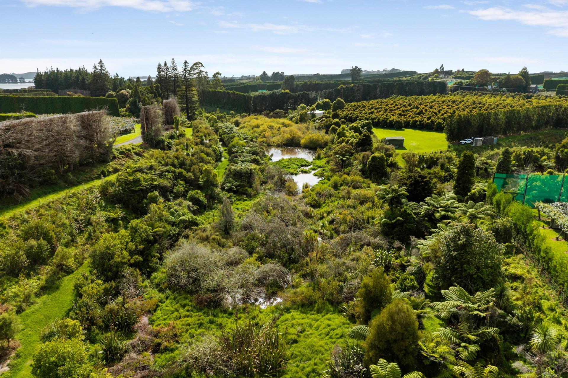169 Tuapiro Road, Katikati