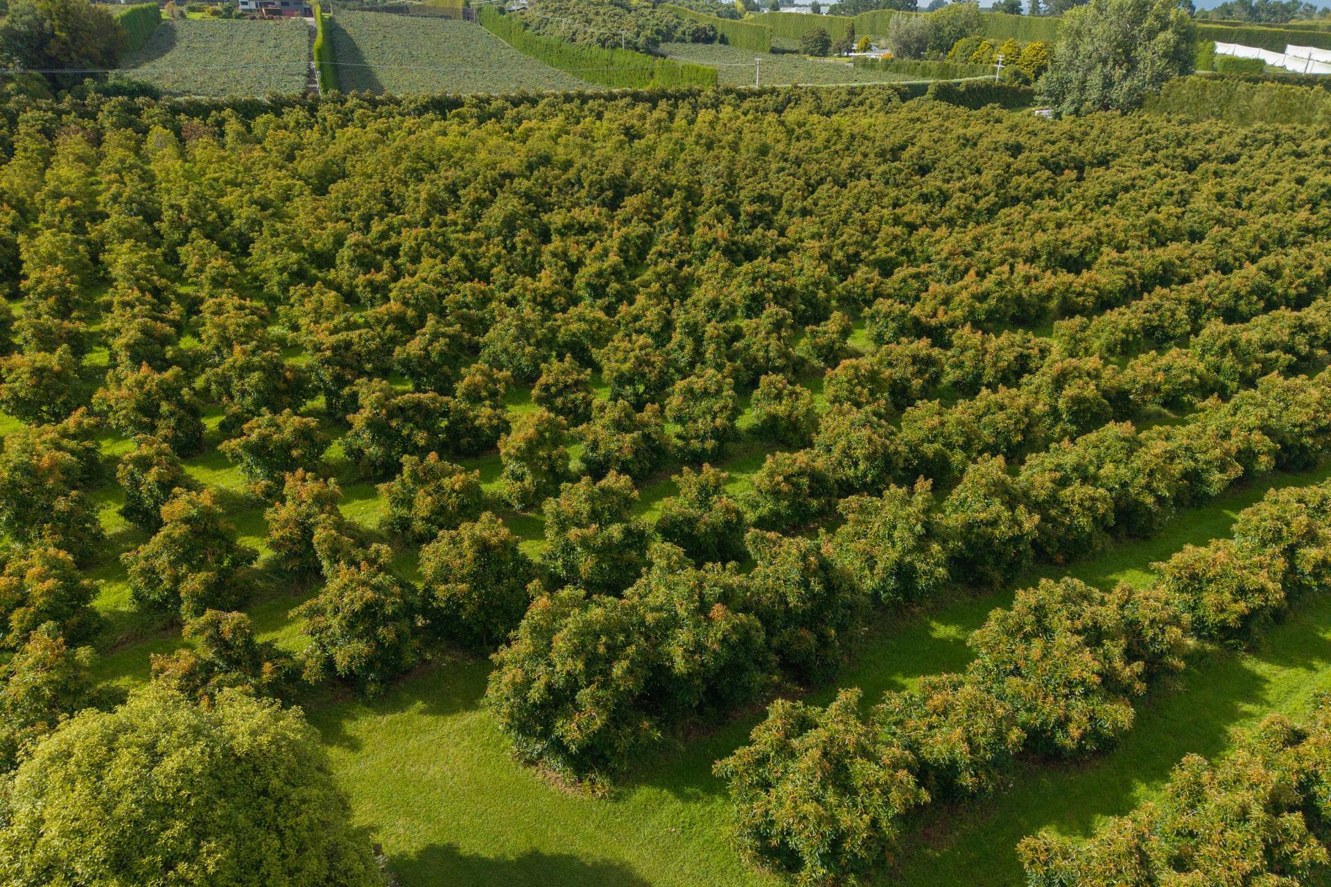 169 Tuapiro Road, Katikati