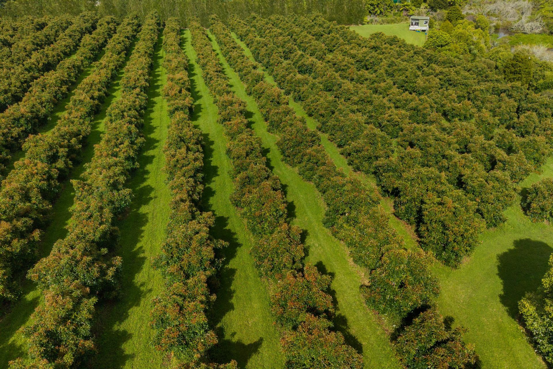 169 Tuapiro Road, Katikati