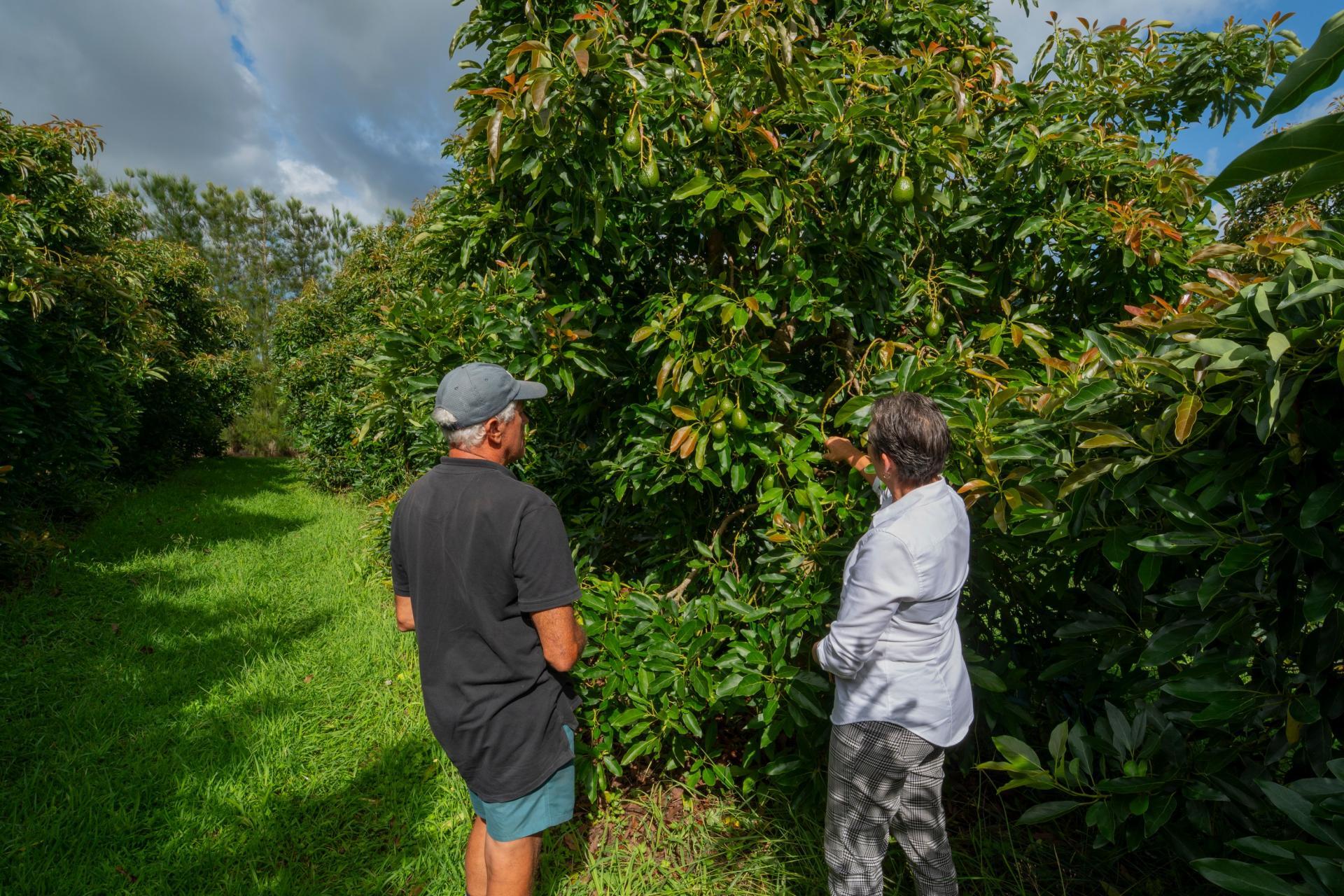 169 Tuapiro Road, Katikati