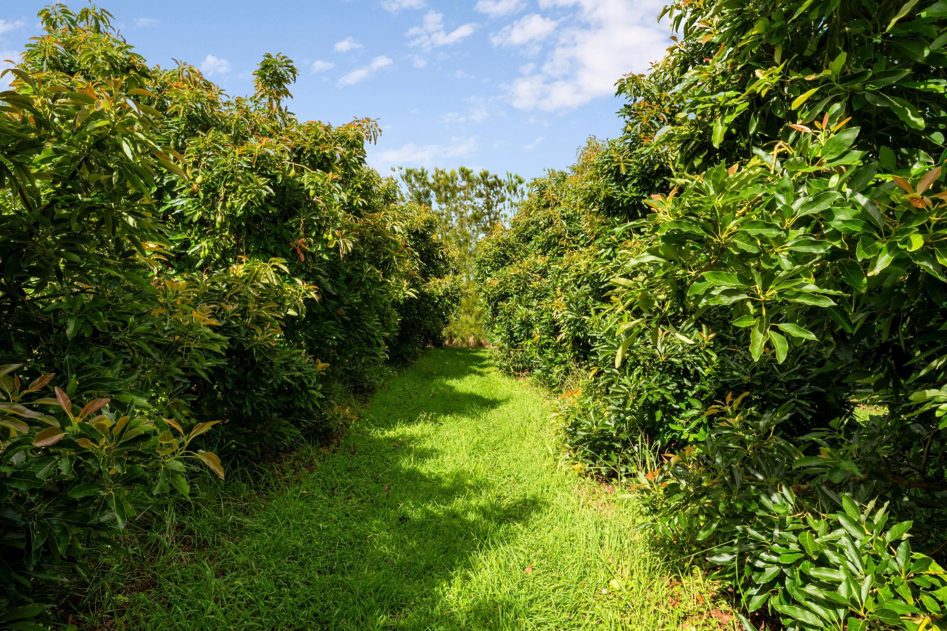 169 Tuapiro Road, Katikati