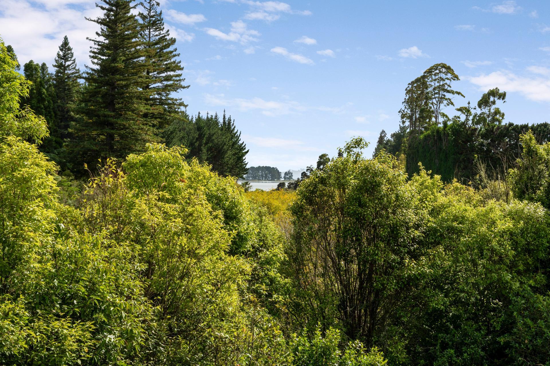 169 Tuapiro Road, Katikati