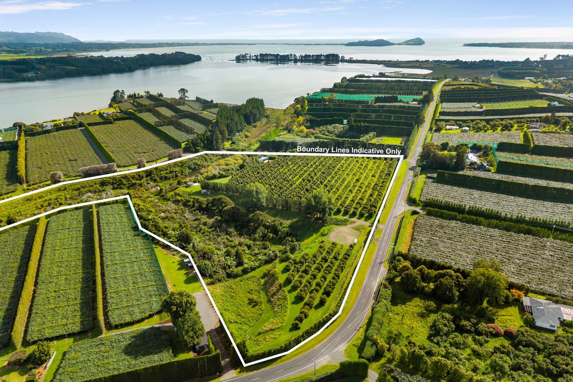 169 Tuapiro Road, Katikati