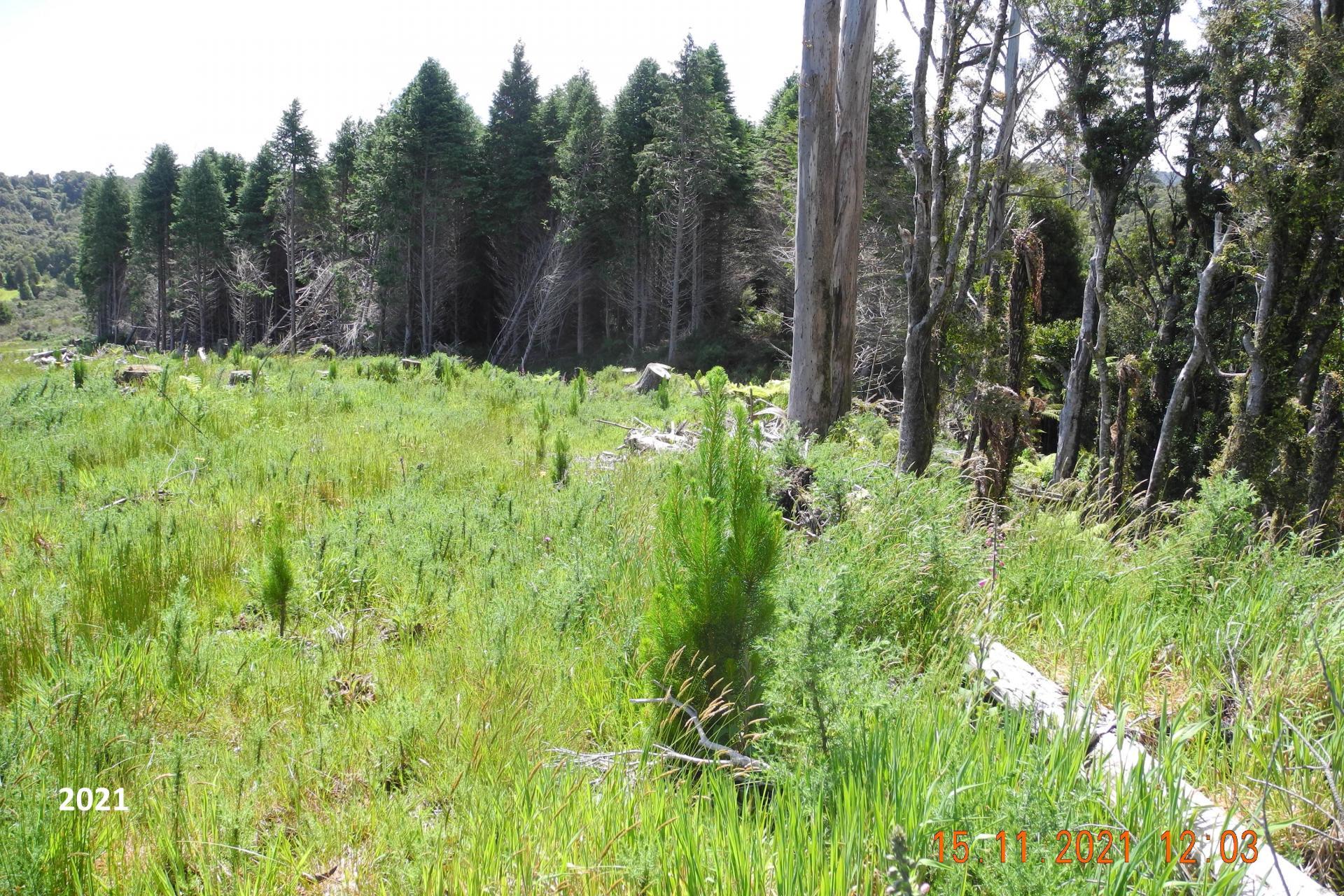 Marsden Road, Marsden