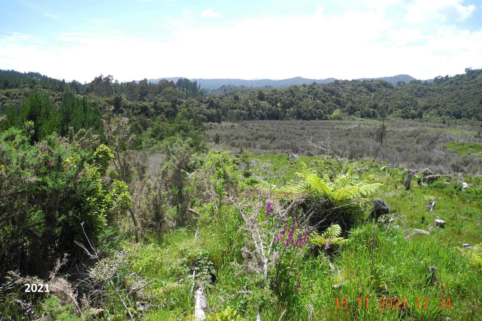 Marsden Road, Marsden