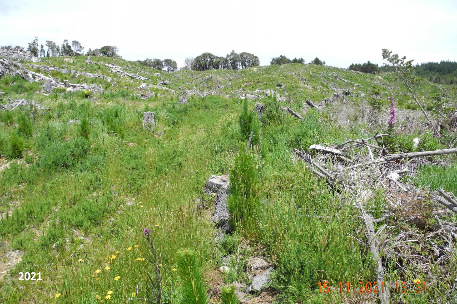 Marsden Road, Marsden