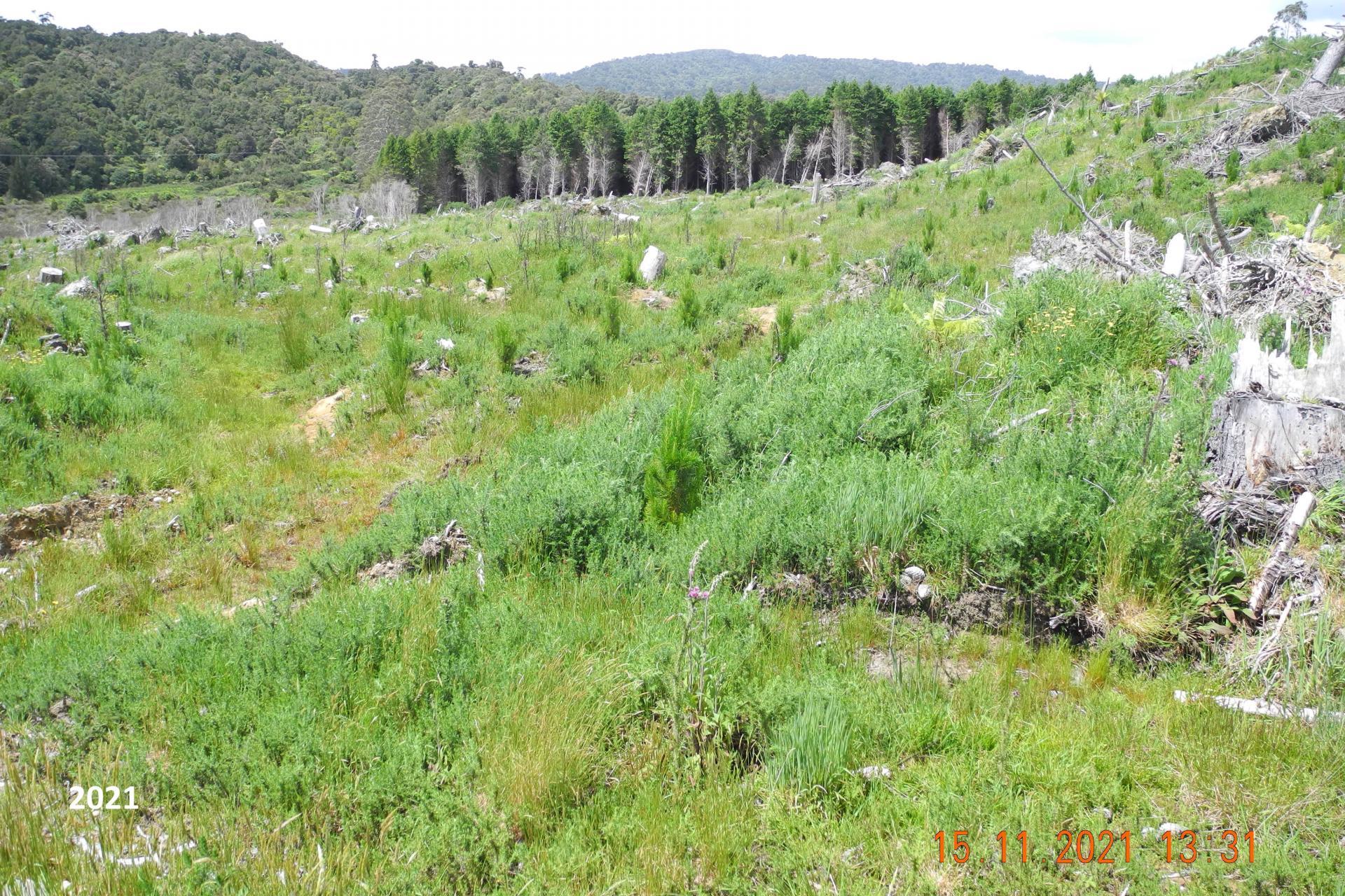 Marsden Road, Marsden
