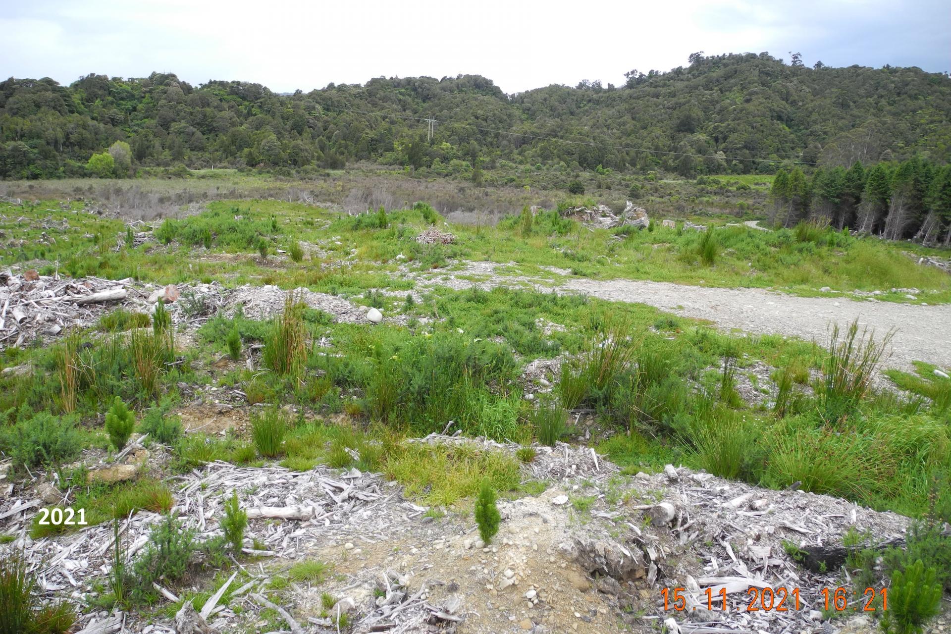 Marsden Road, Marsden