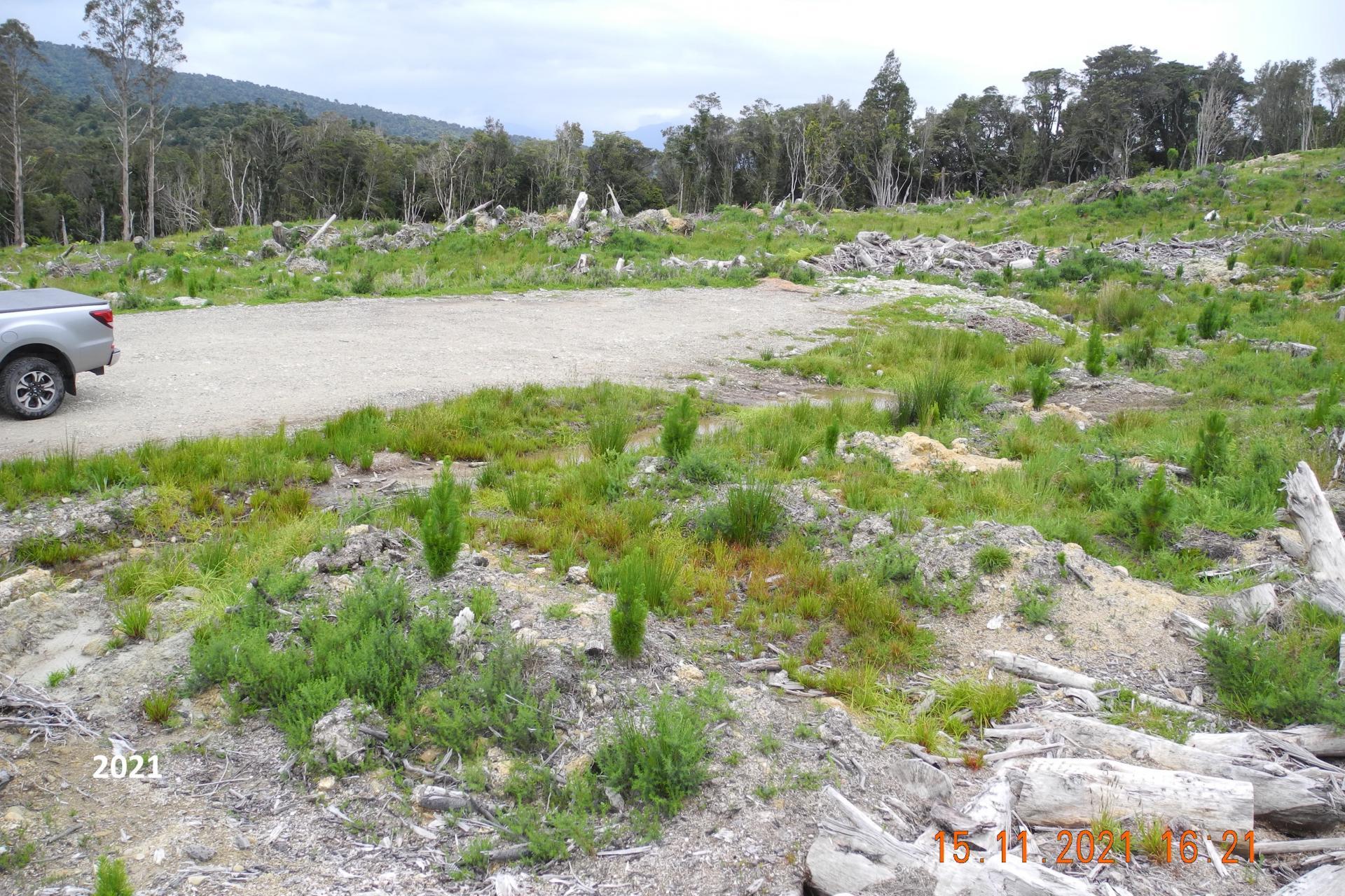 Marsden Road, Marsden
