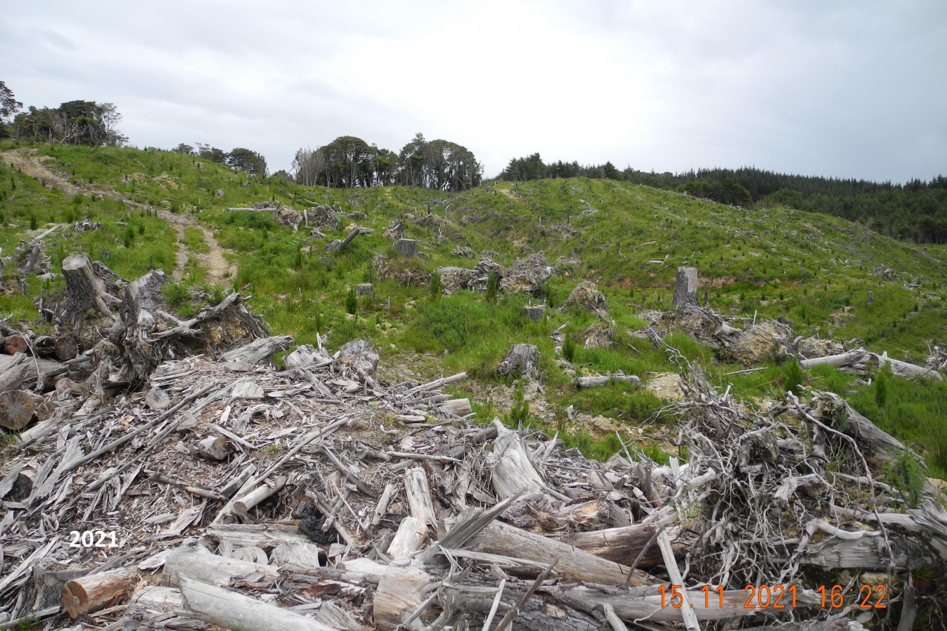 Marsden Road, Marsden