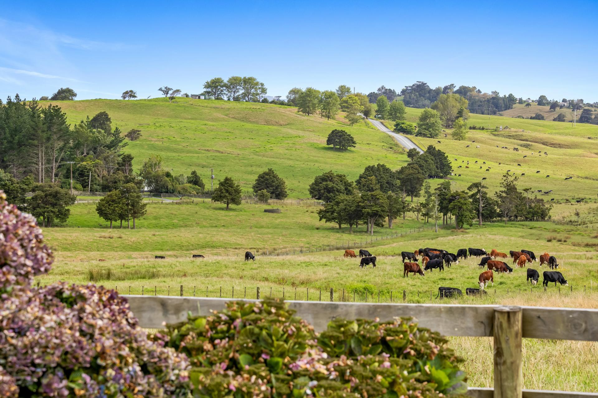 291 Prictor Road, Wellsford