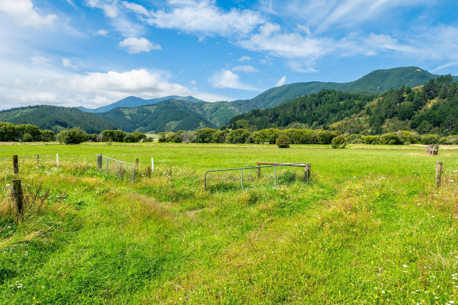 State Highway 1, Koromiko