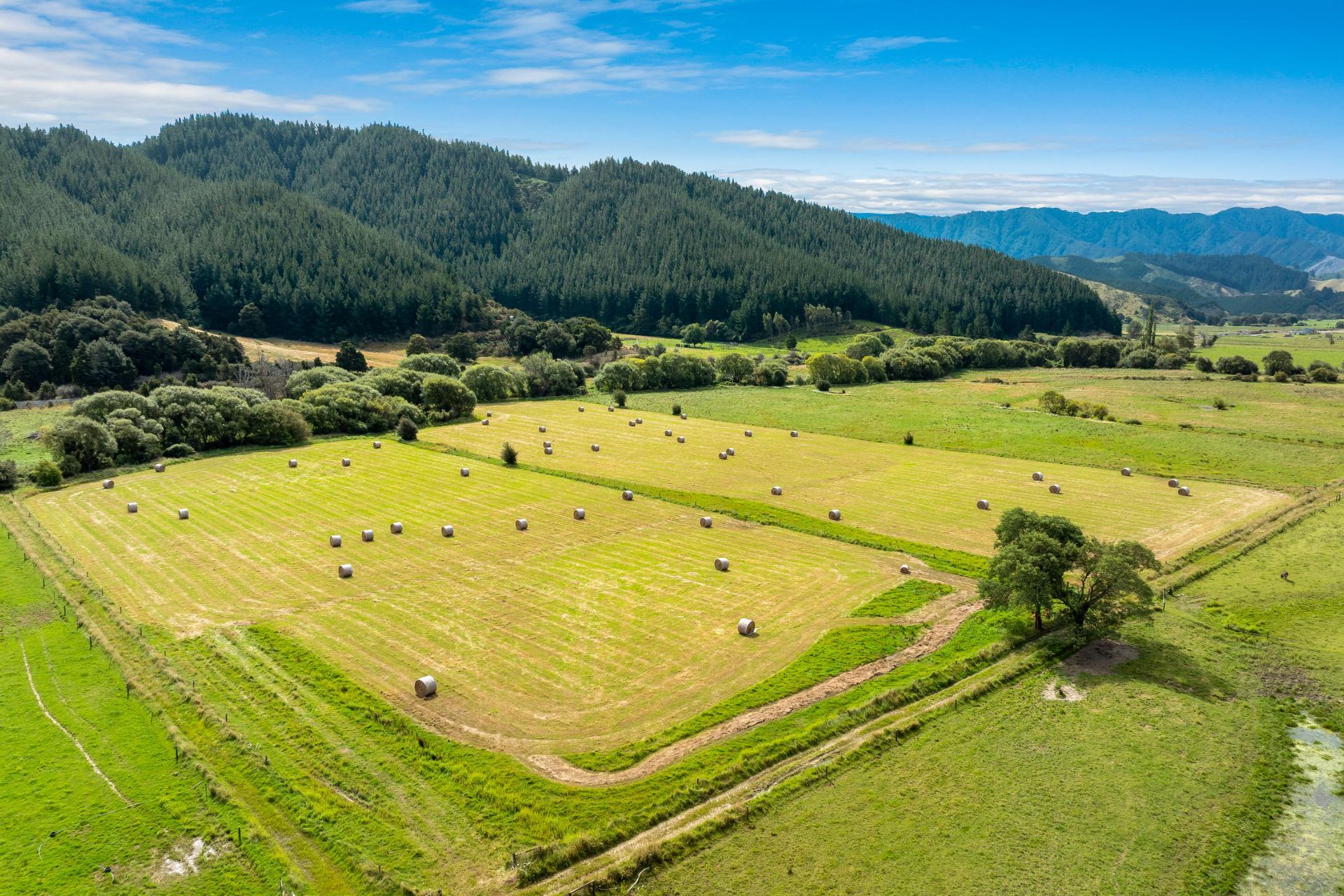 State Highway 1, Koromiko