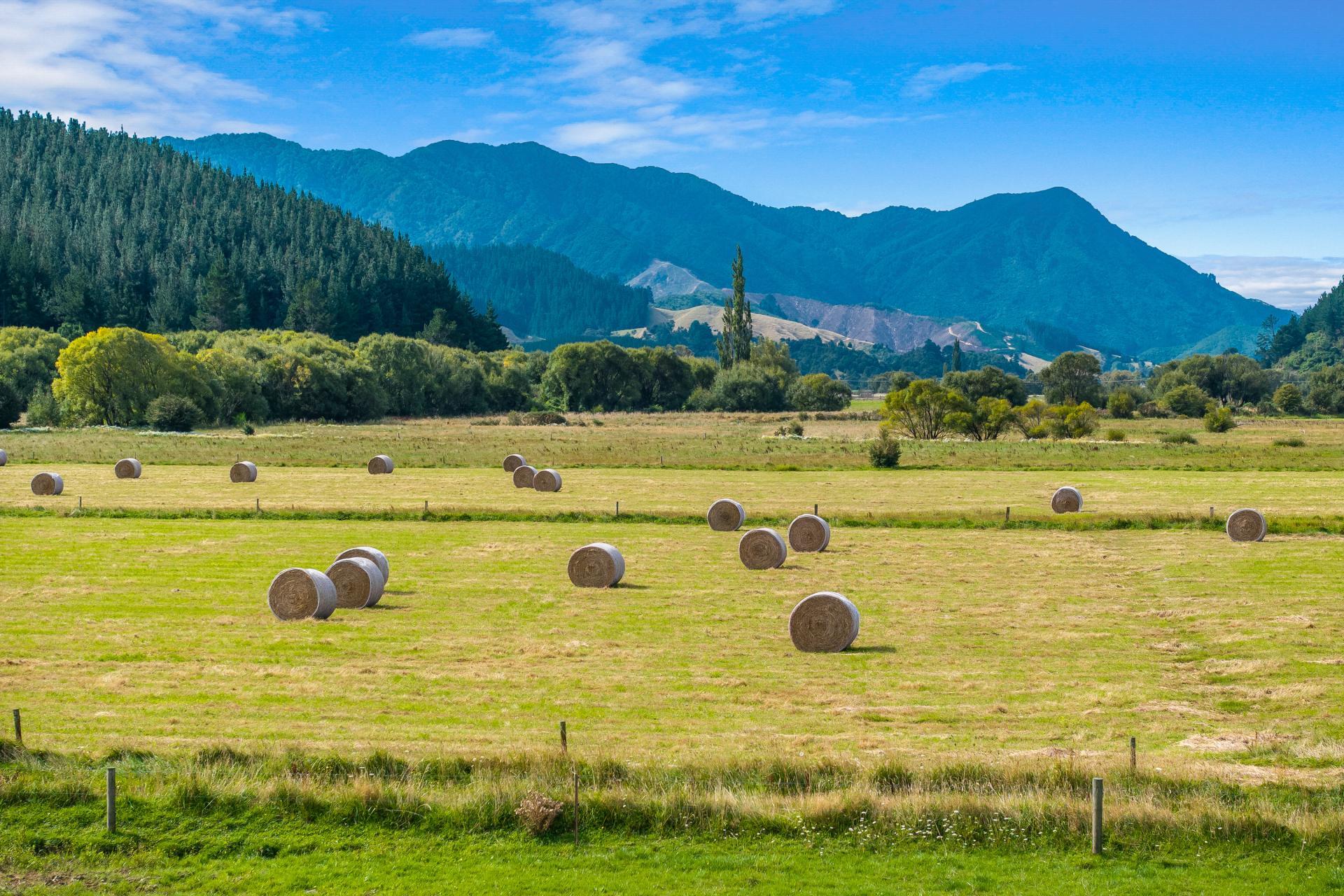 State Highway 1, Koromiko