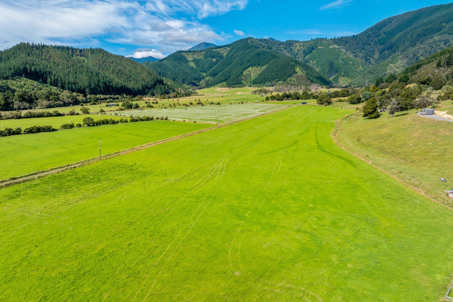 State Highway 1, Koromiko