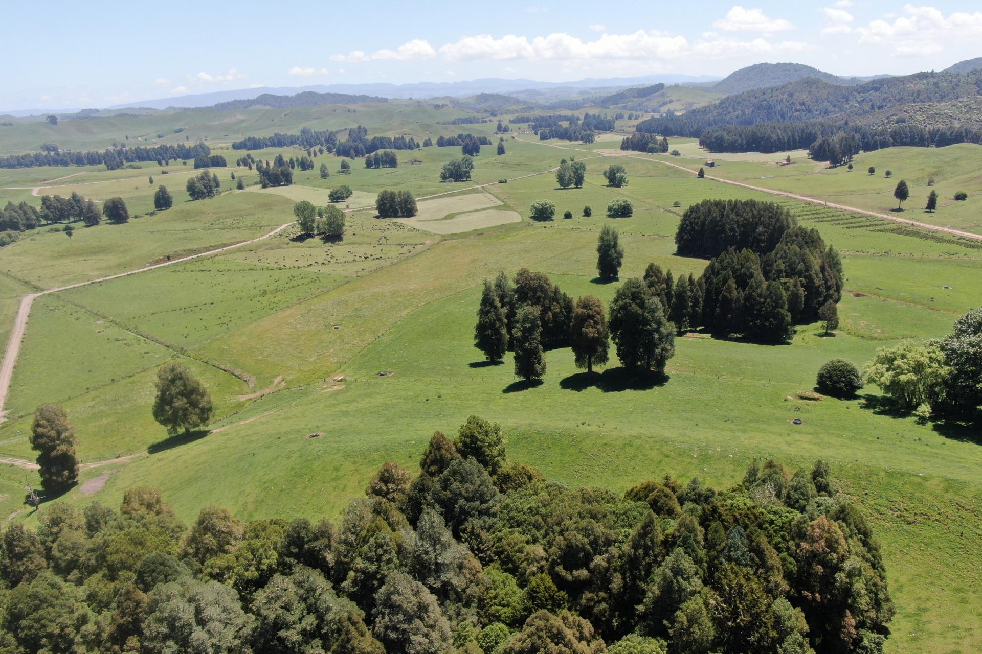 24 Pukeuha Road, Aria