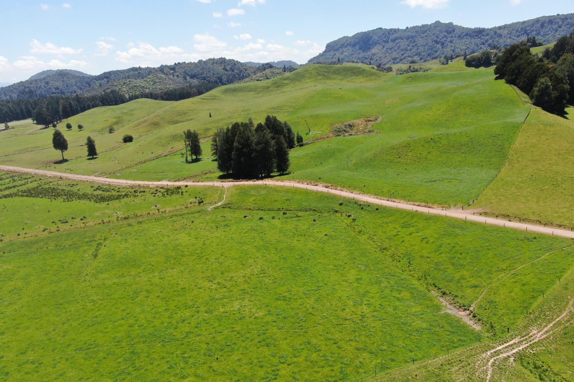 24 Pukeuha Road, Aria