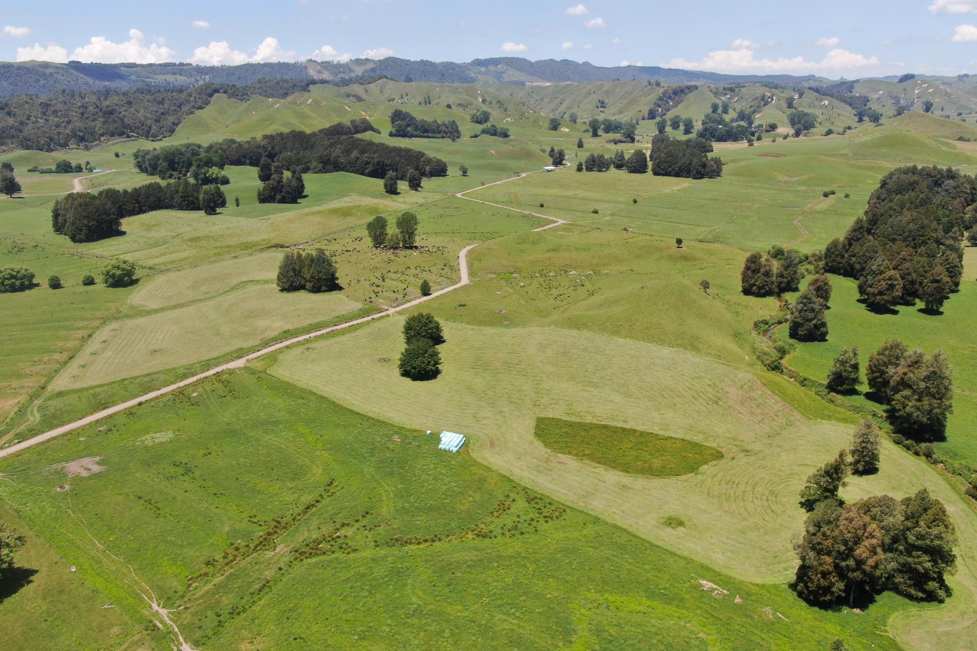24 Pukeuha Road, Aria