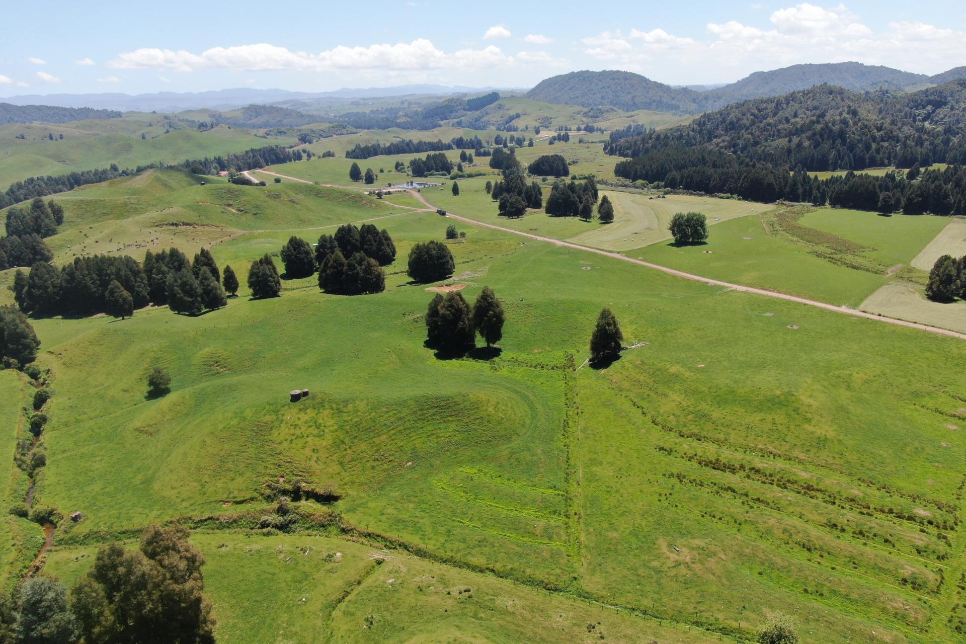 24 Pukeuha Road, Aria