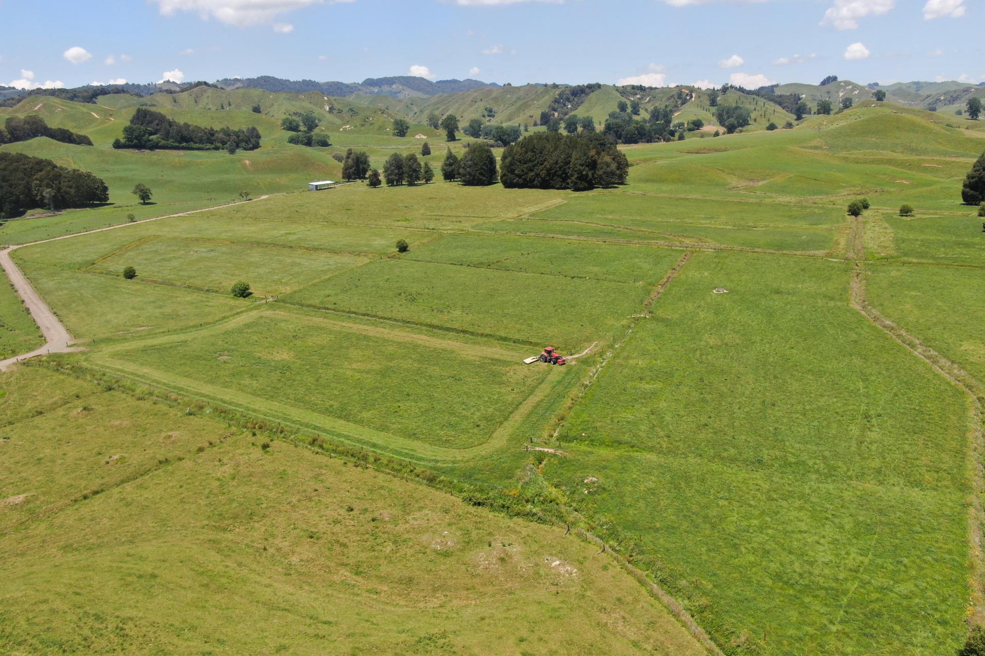 24 Pukeuha Road, Aria