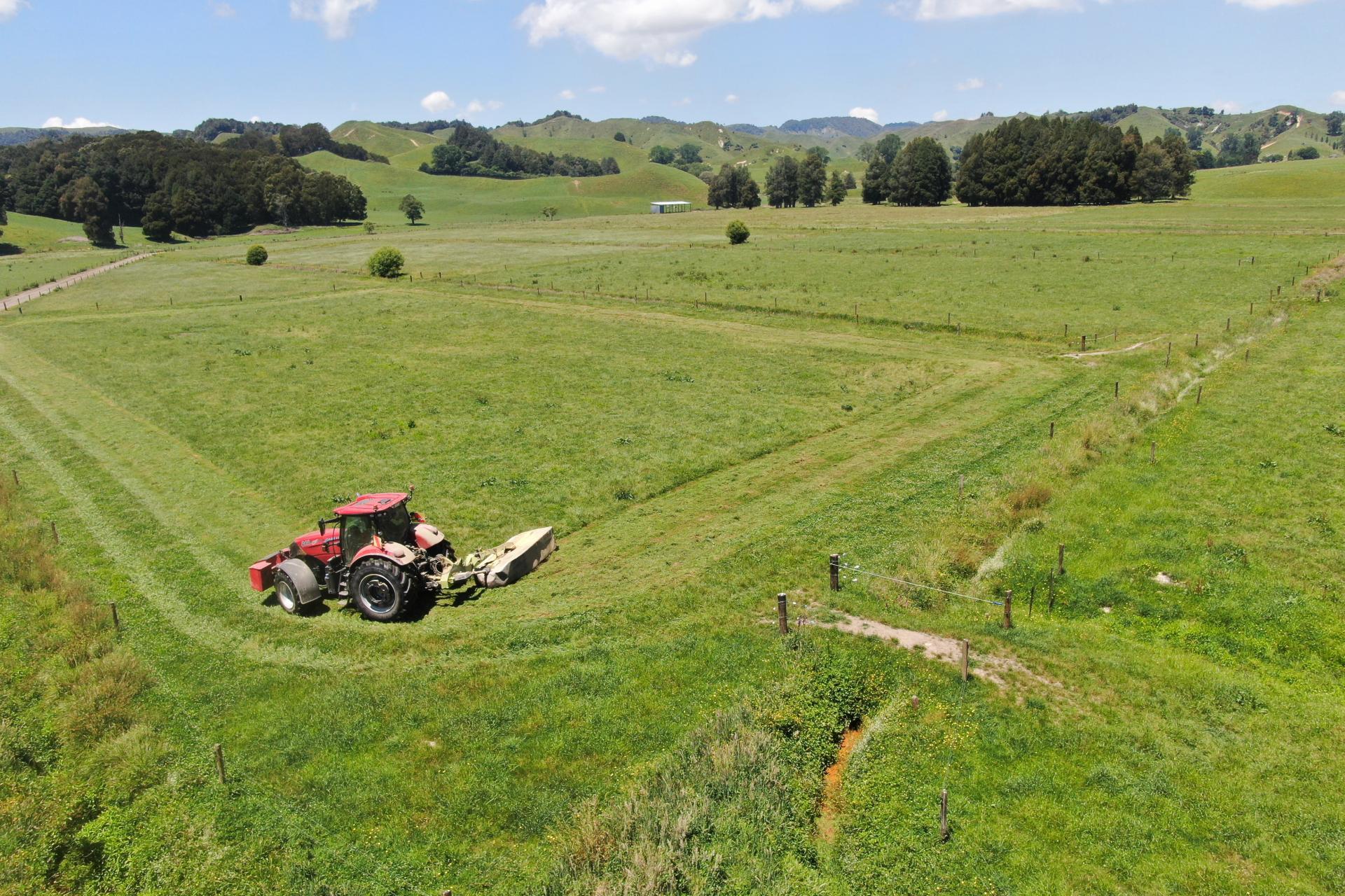 24 Pukeuha Road, Aria