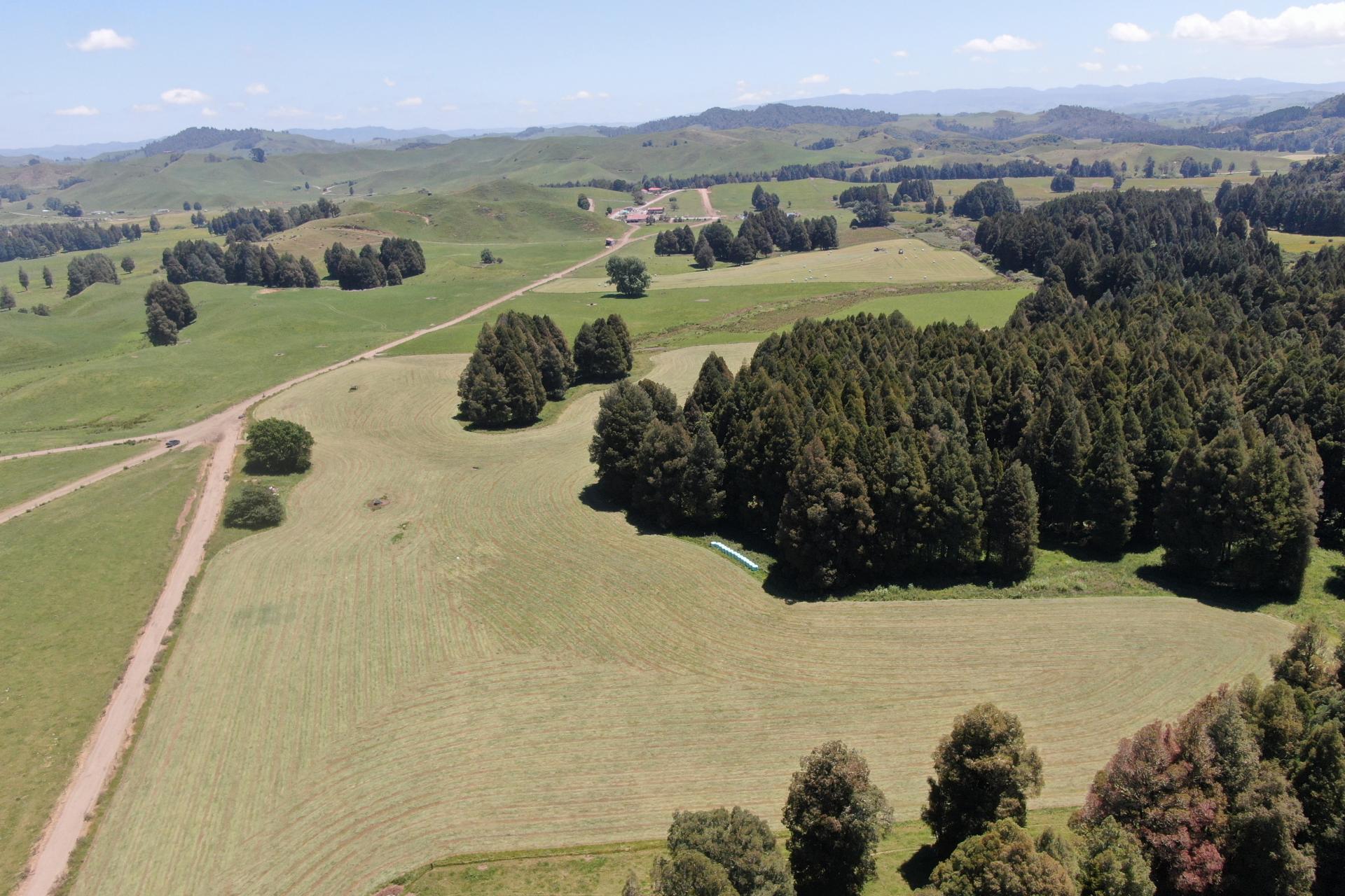 24 Pukeuha Road, Aria