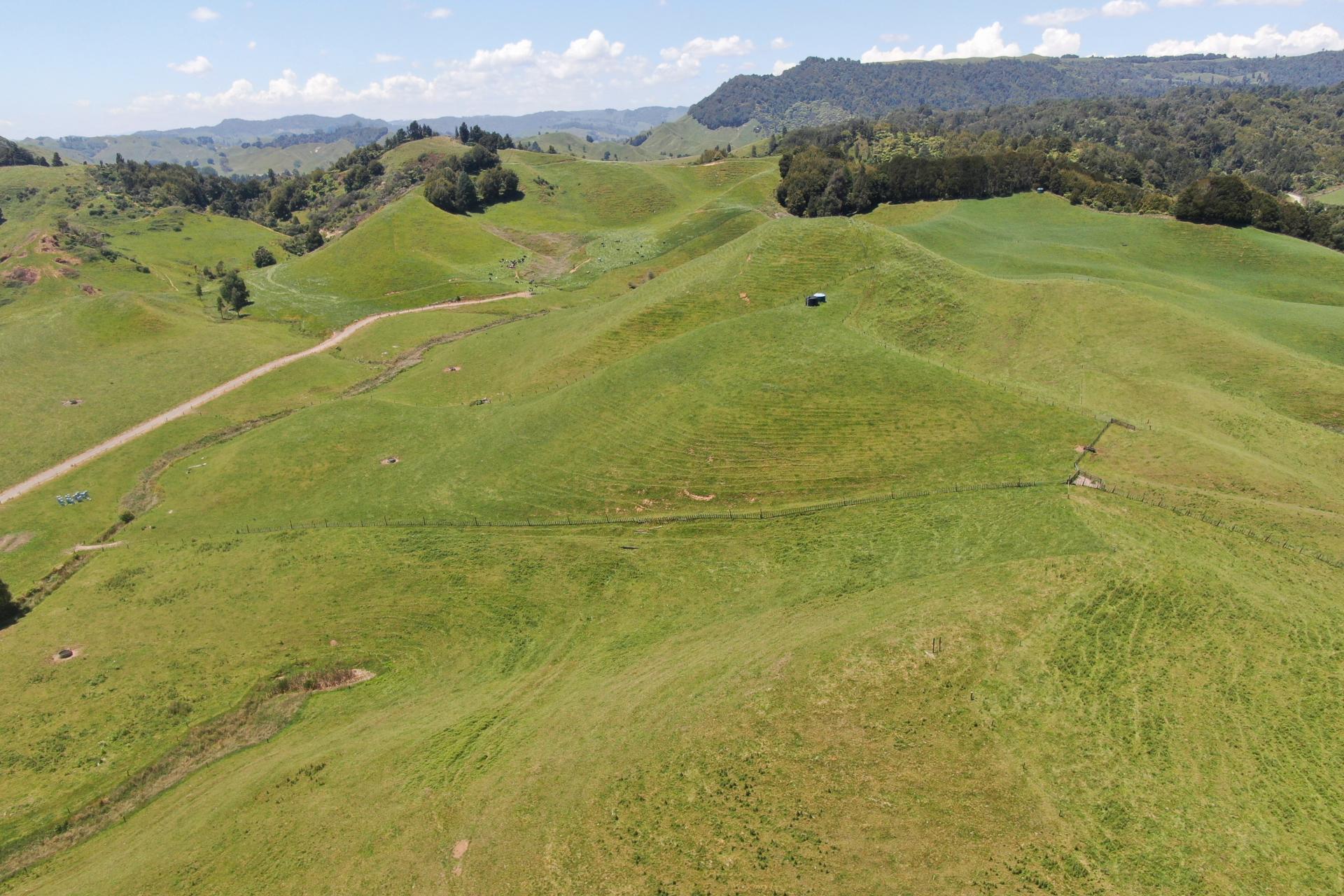 24 Pukeuha Road, Aria