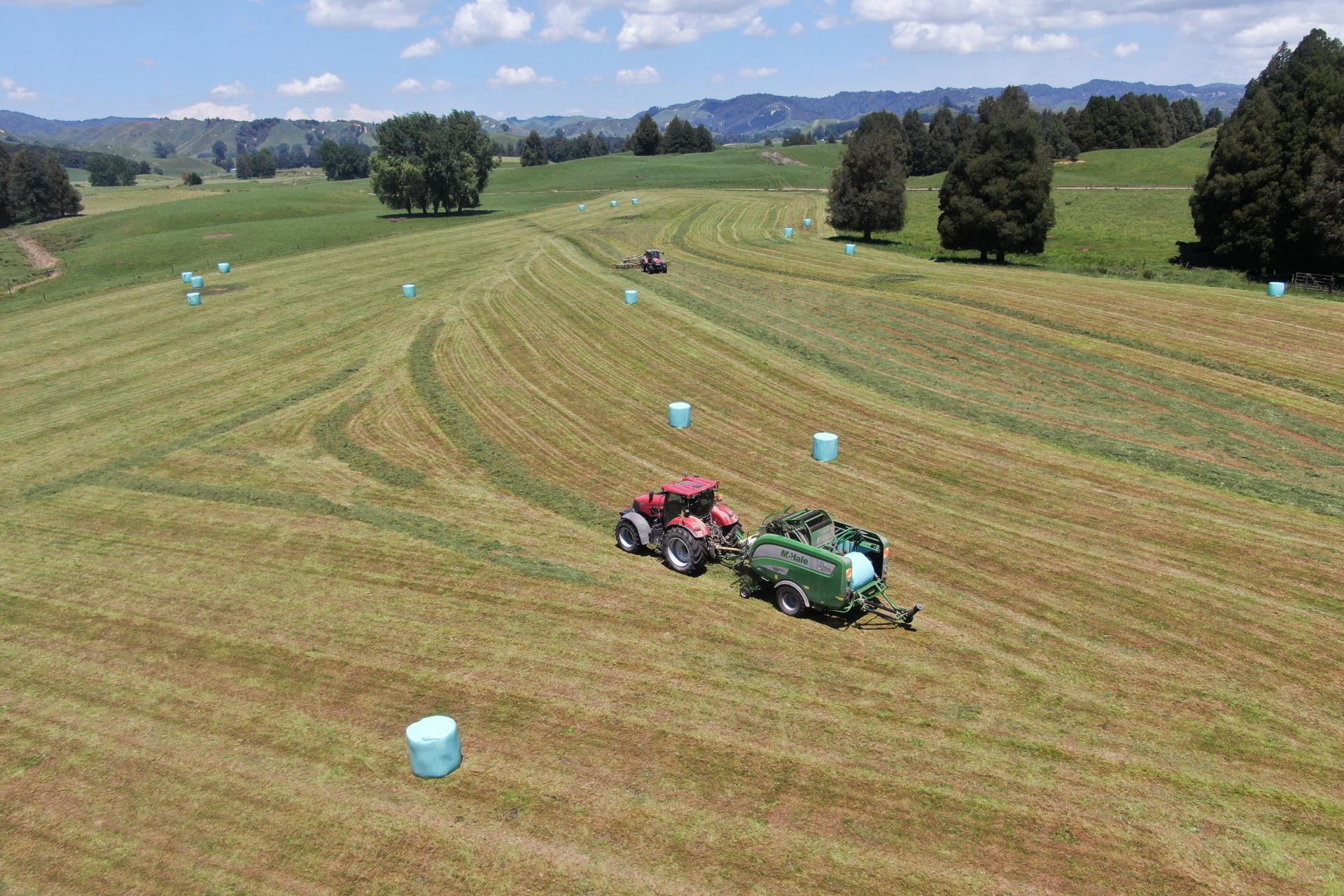 24 Pukeuha Road, Aria