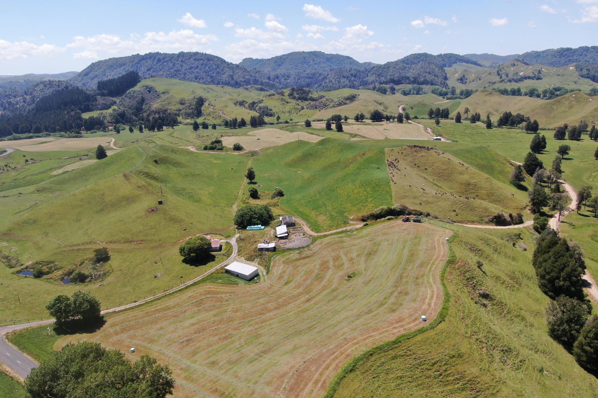 24 Pukeuha Road, Aria