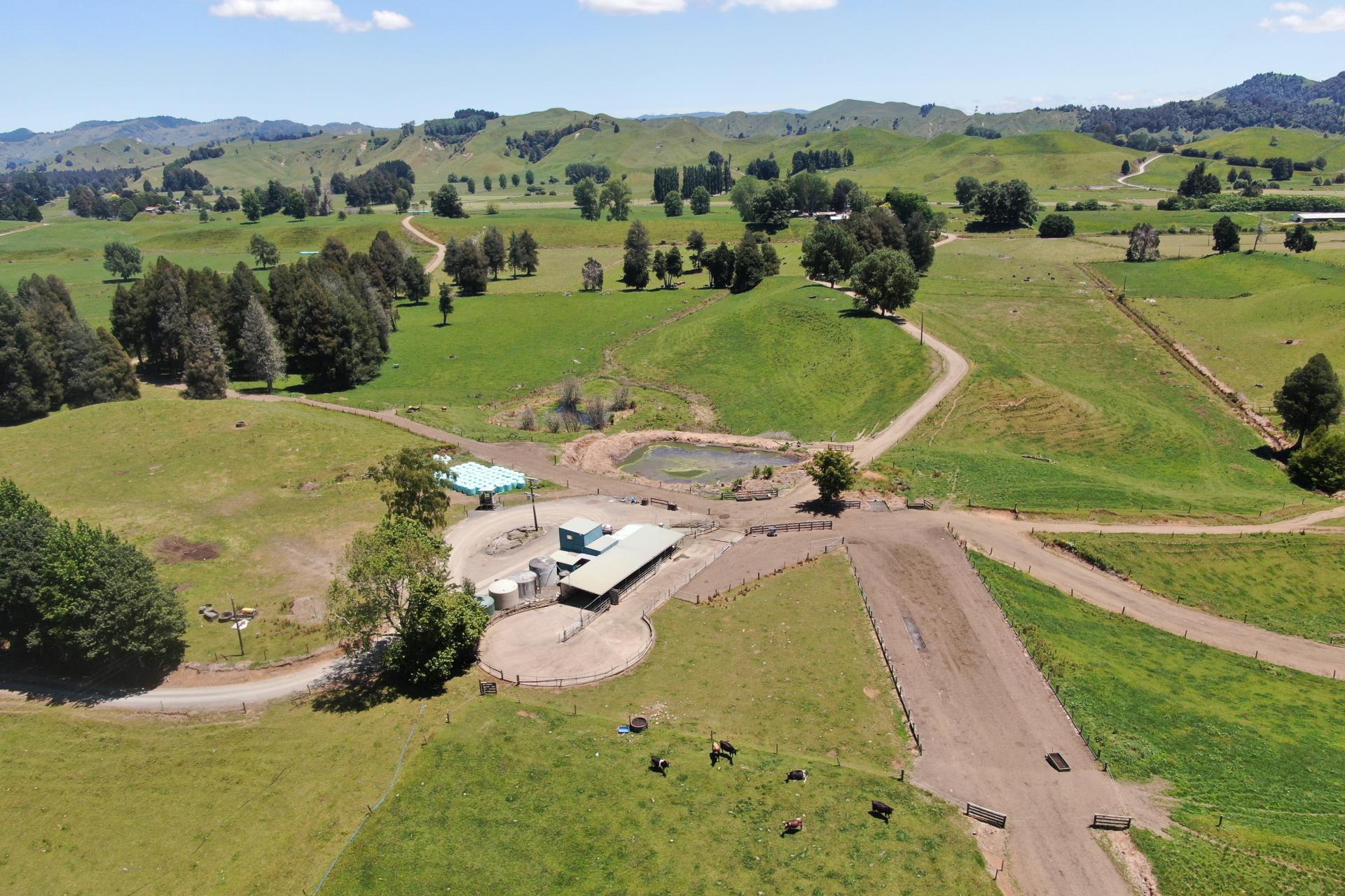 967 Ohura Road, Aria