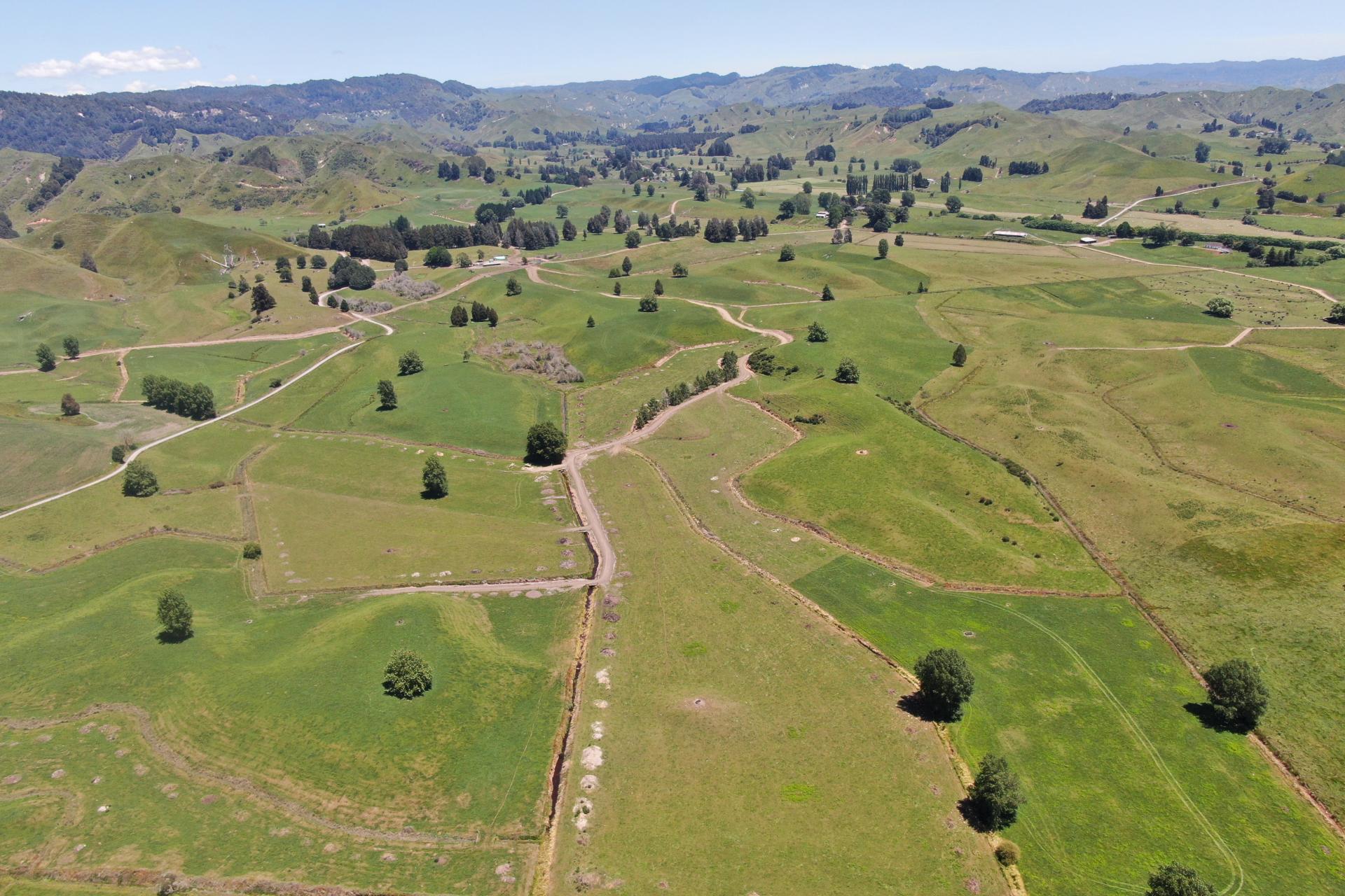 967 Ohura Road, Aria