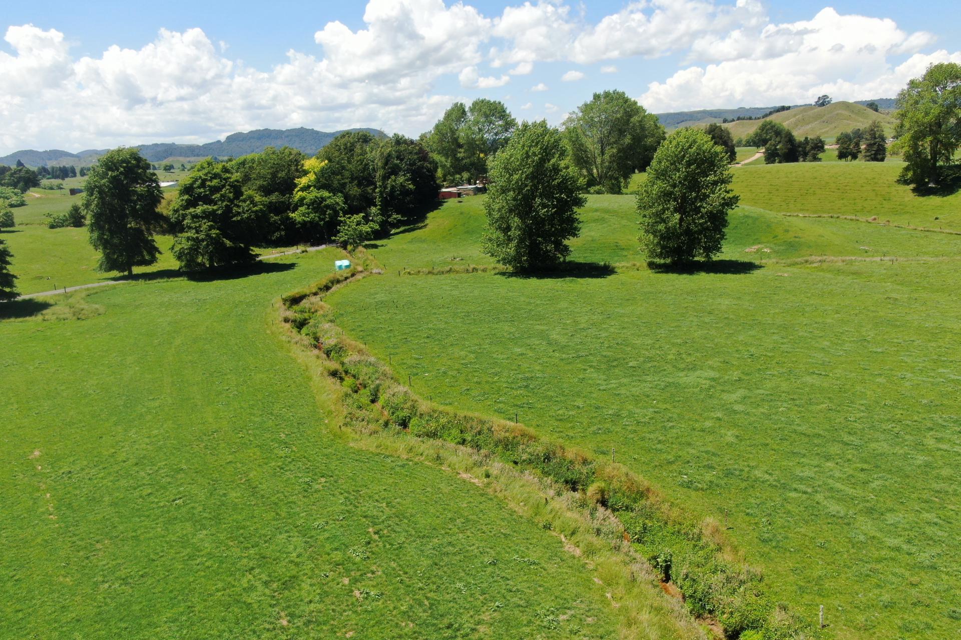 967 Ohura Road, Aria