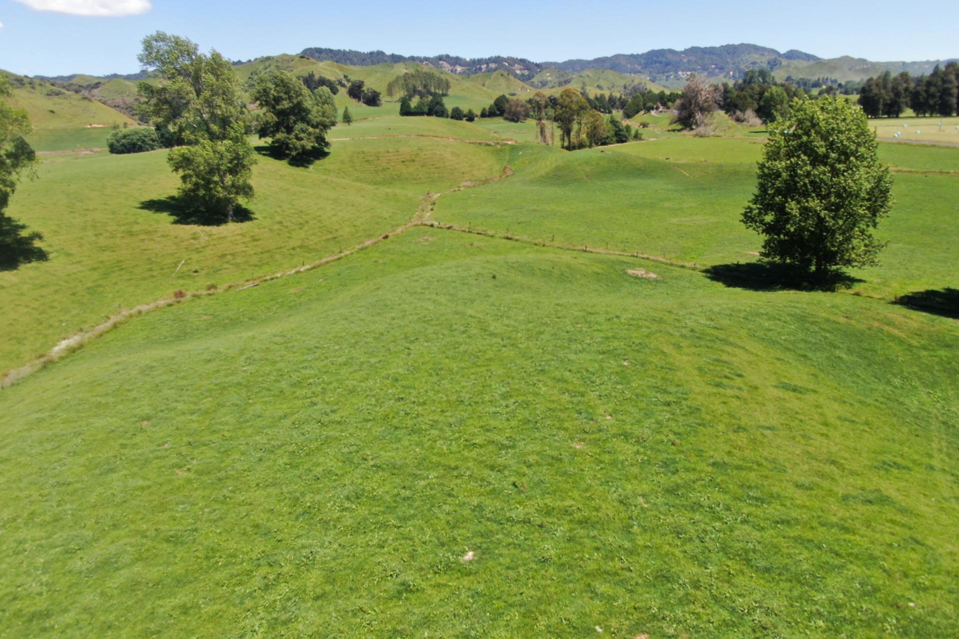 967 Ohura Road, Aria