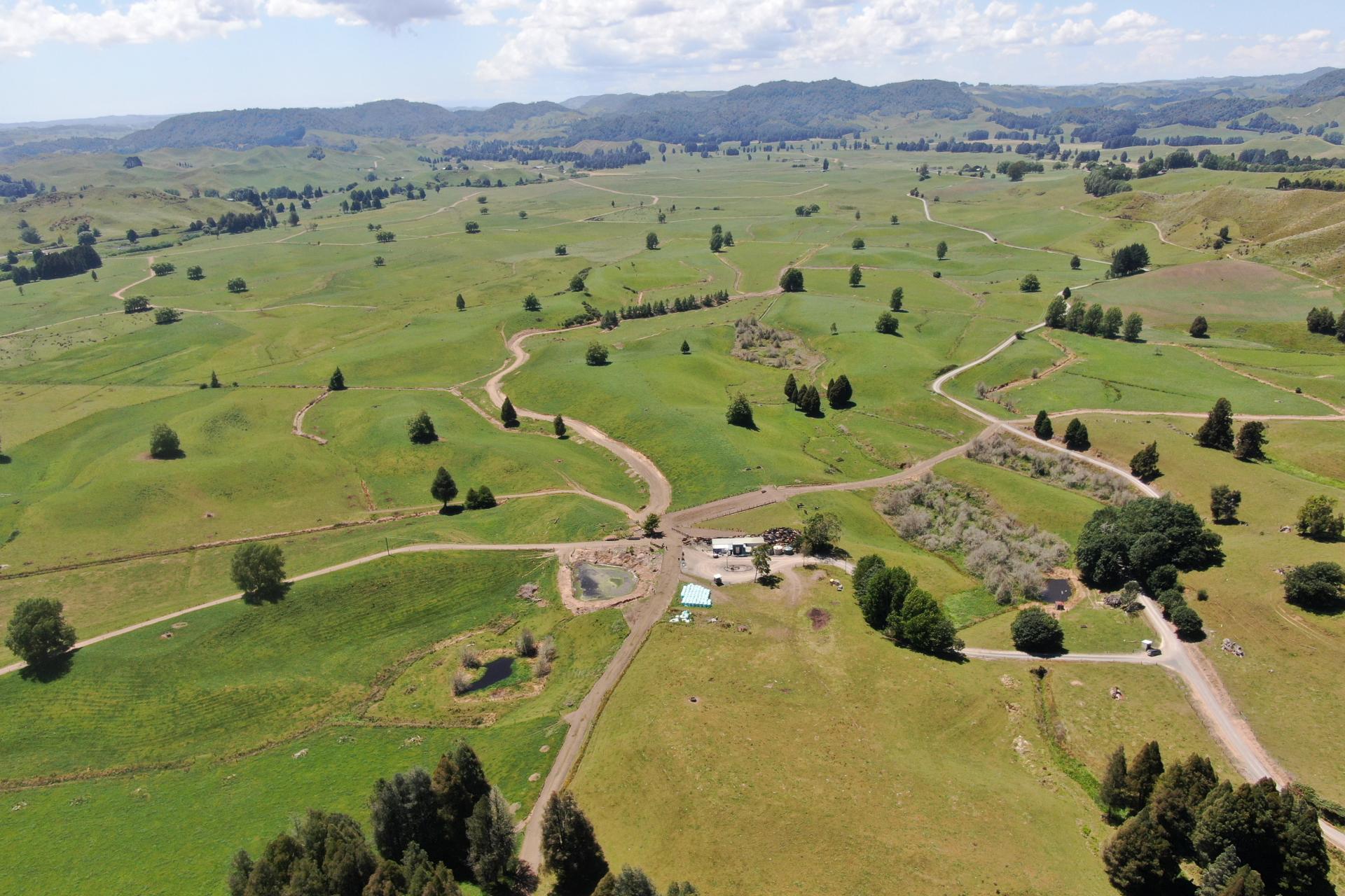 967 Ohura Road, Aria