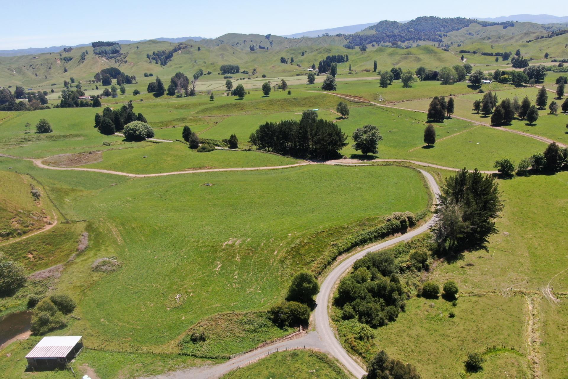 967 Ohura Road, Aria