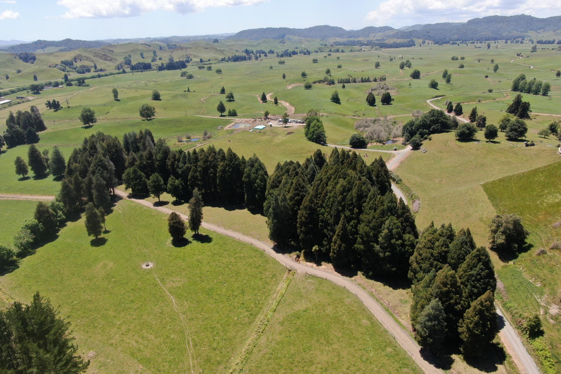 967 Ohura Road, Aria