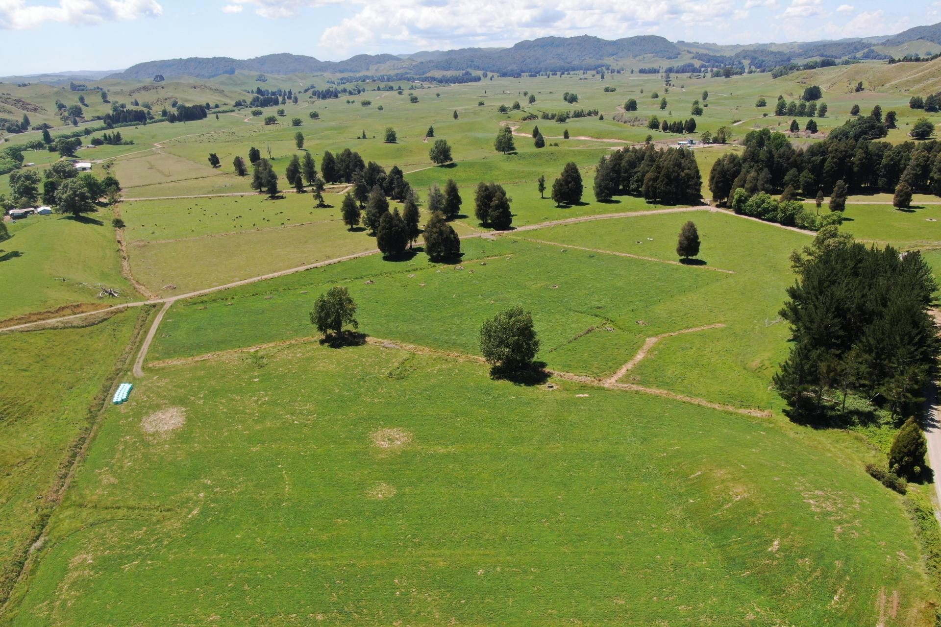 967 Ohura Road, Aria