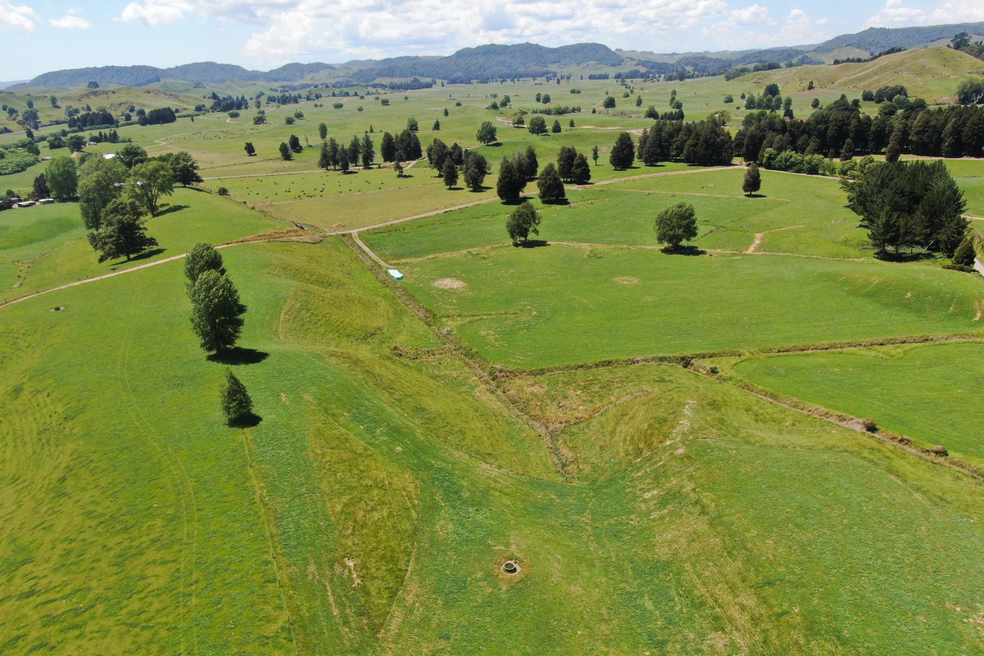 967 Ohura Road, Aria