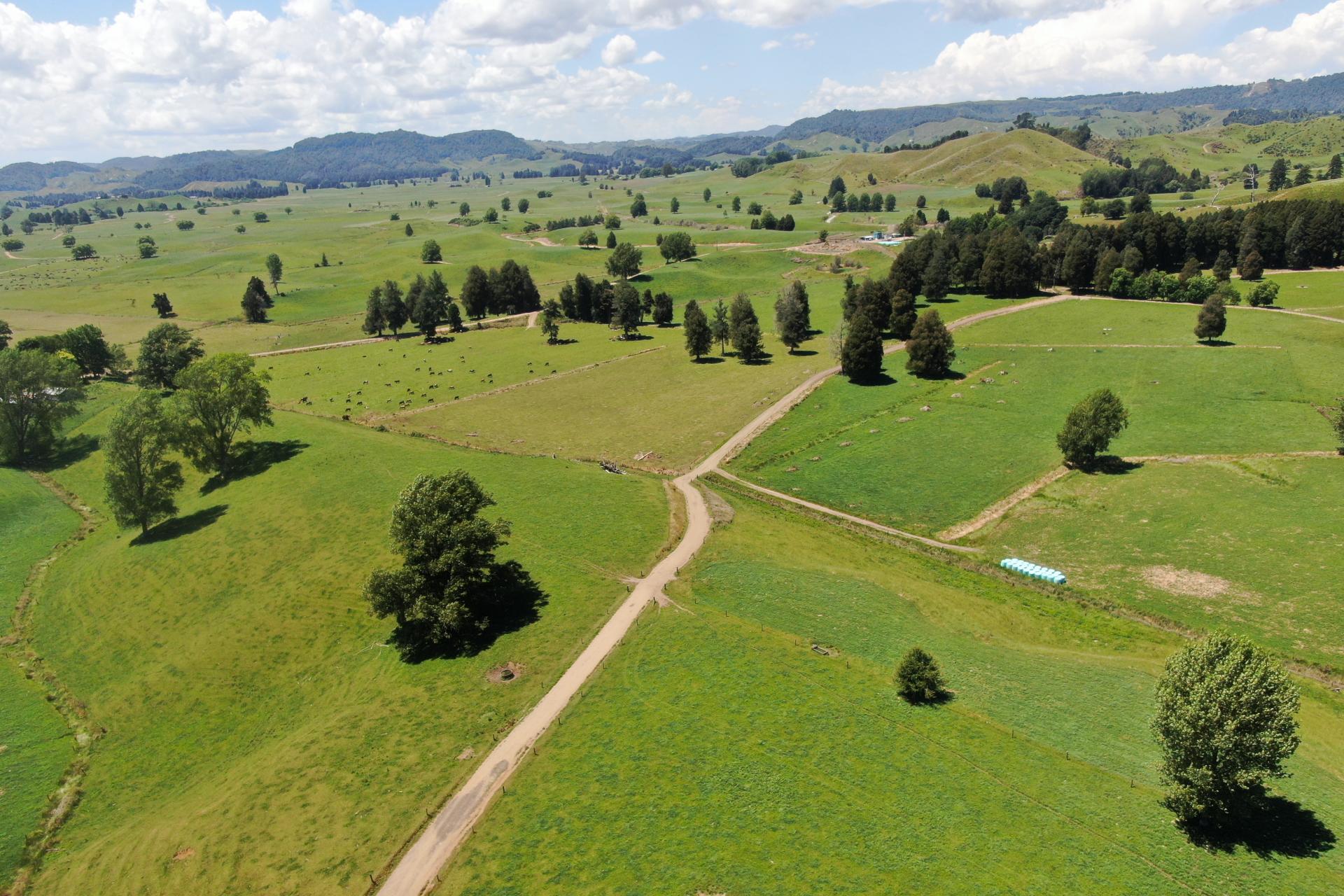 967 Ohura Road, Aria