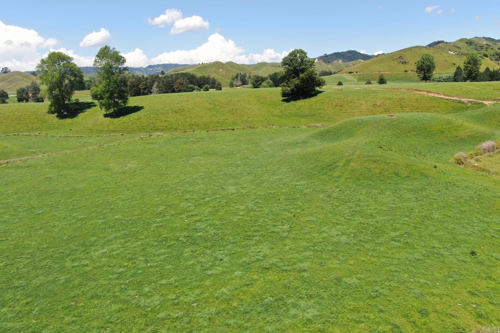 967 Ohura Road, Aria