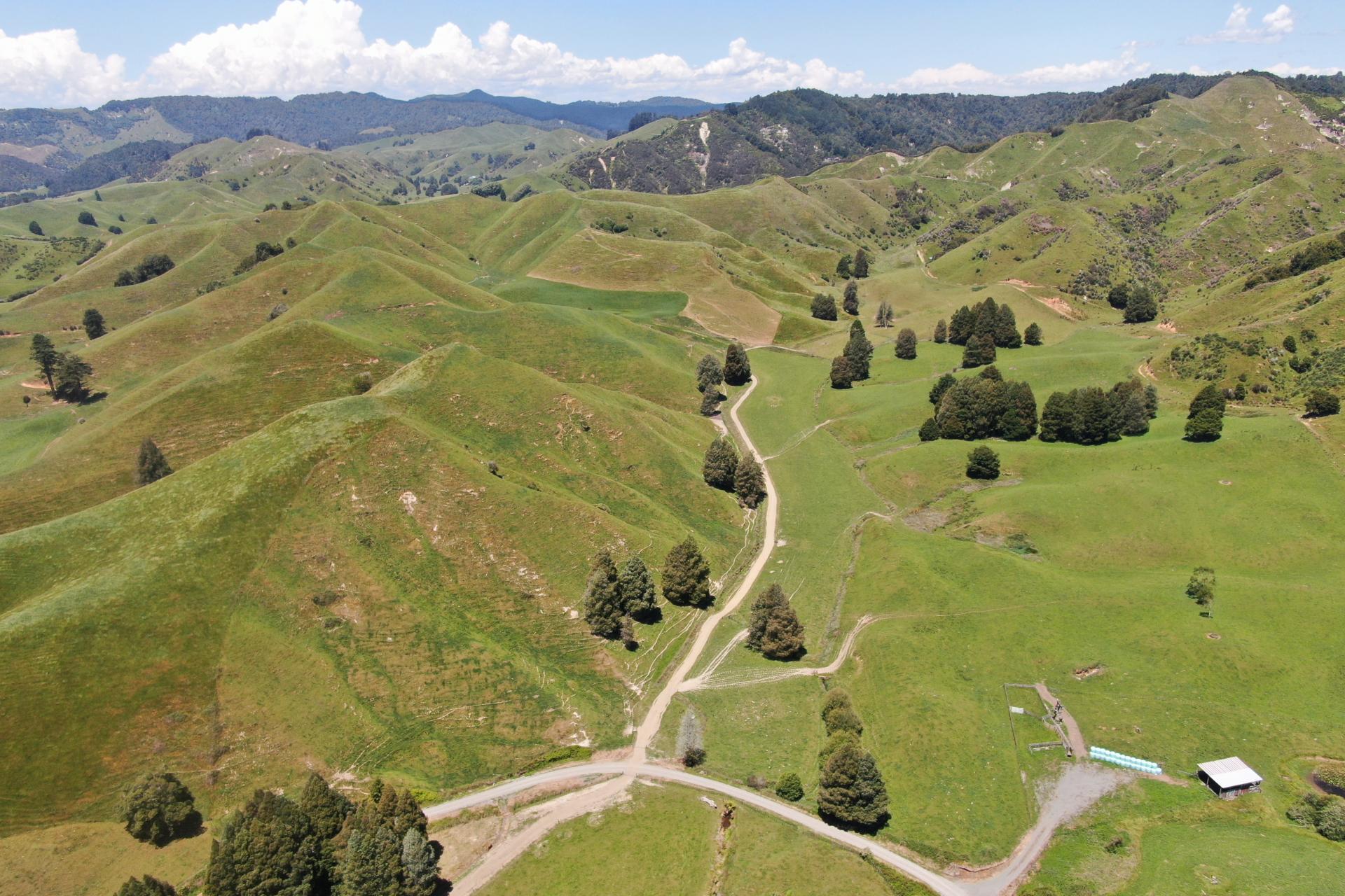 967 Ohura Road, Aria