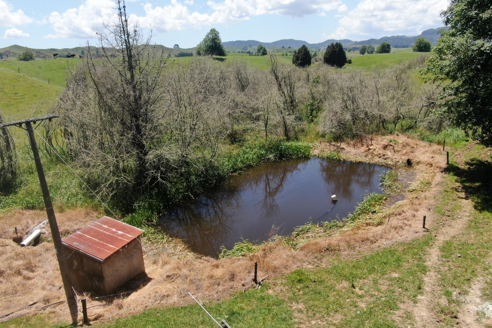 967 Ohura Road, Aria