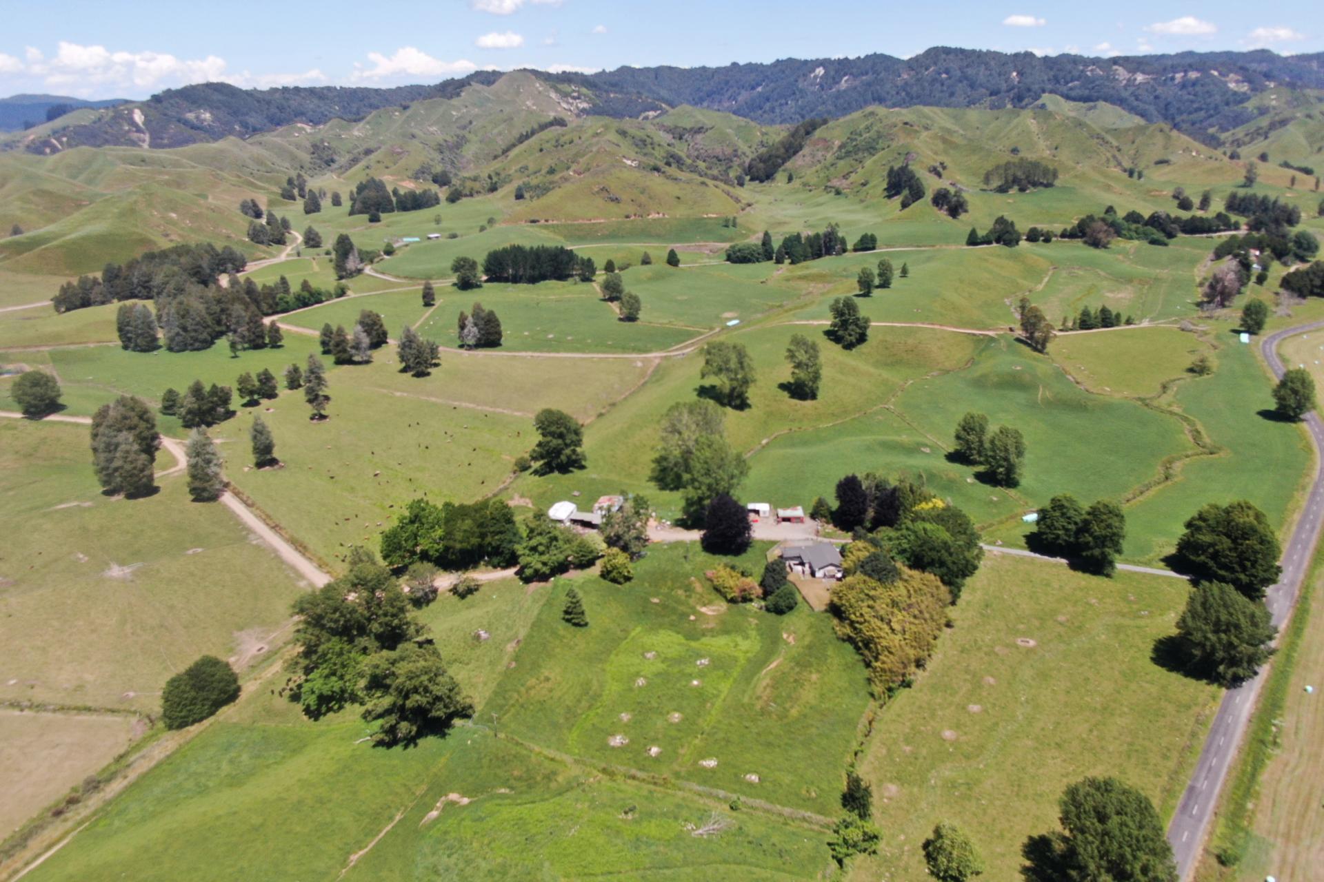 967 Ohura Road, Aria