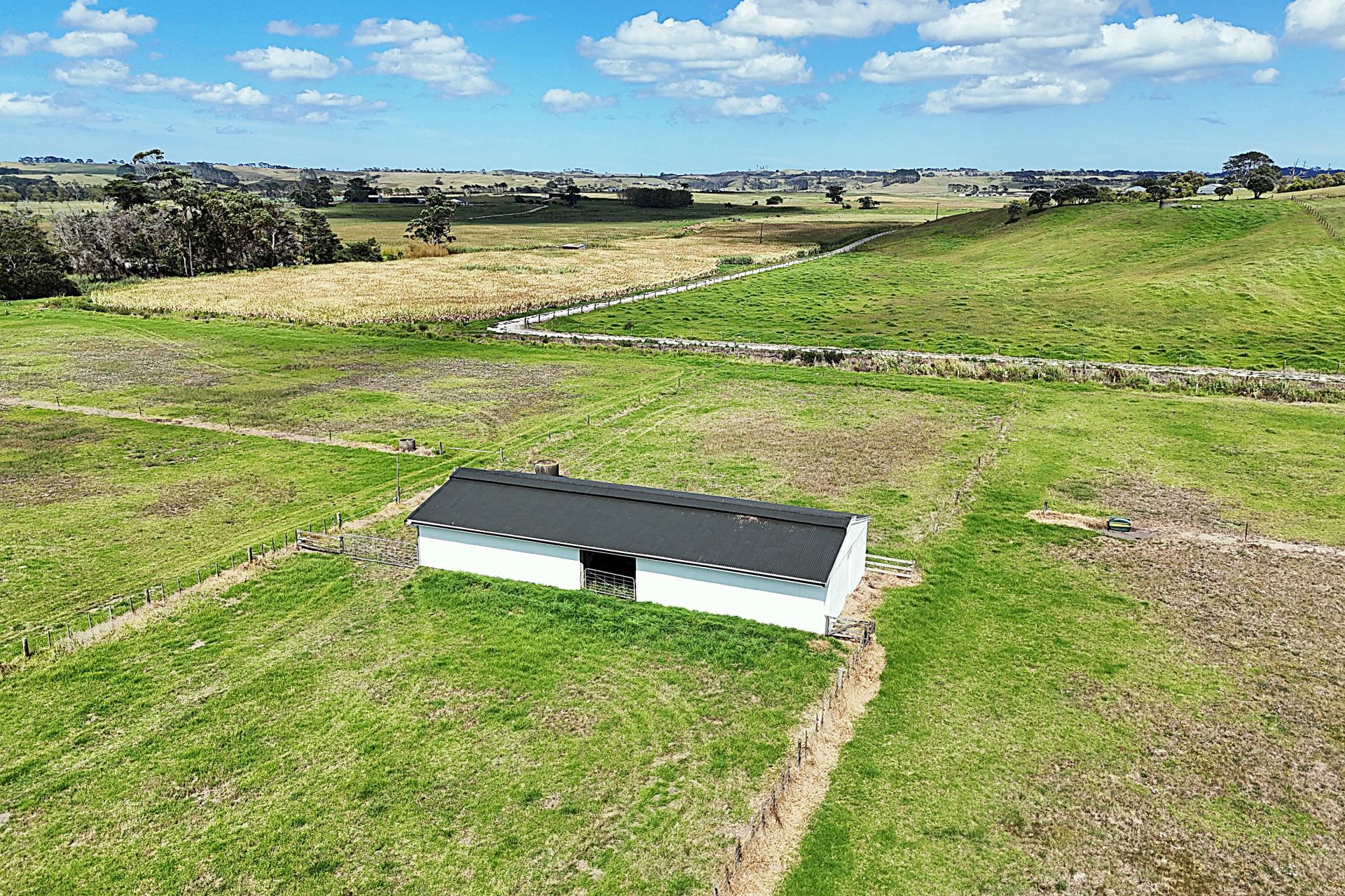 1034 Pouto Road, Te Kopuru