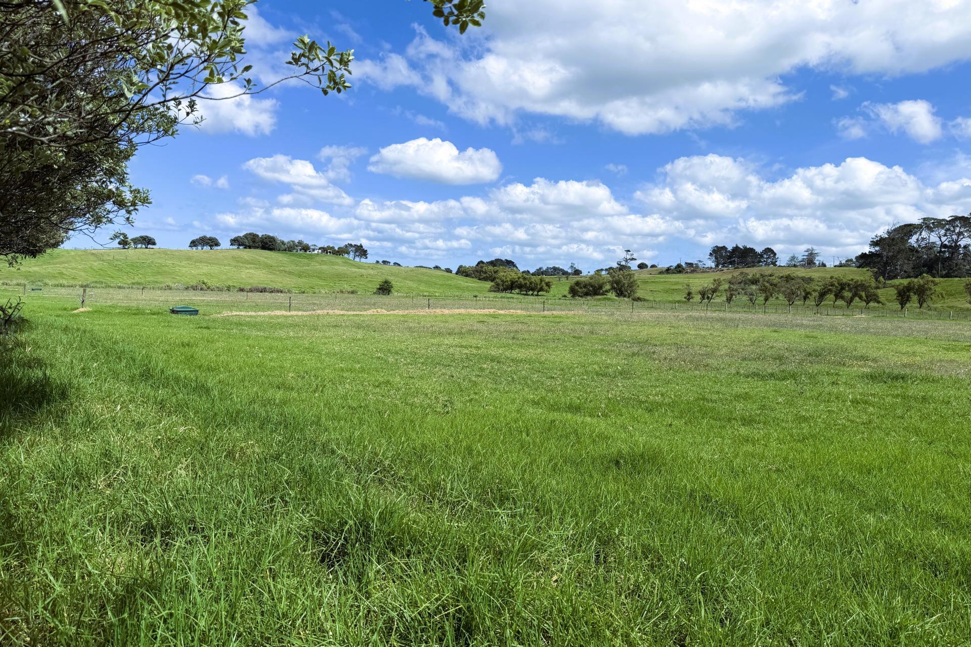 1034 Pouto Road, Te Kopuru