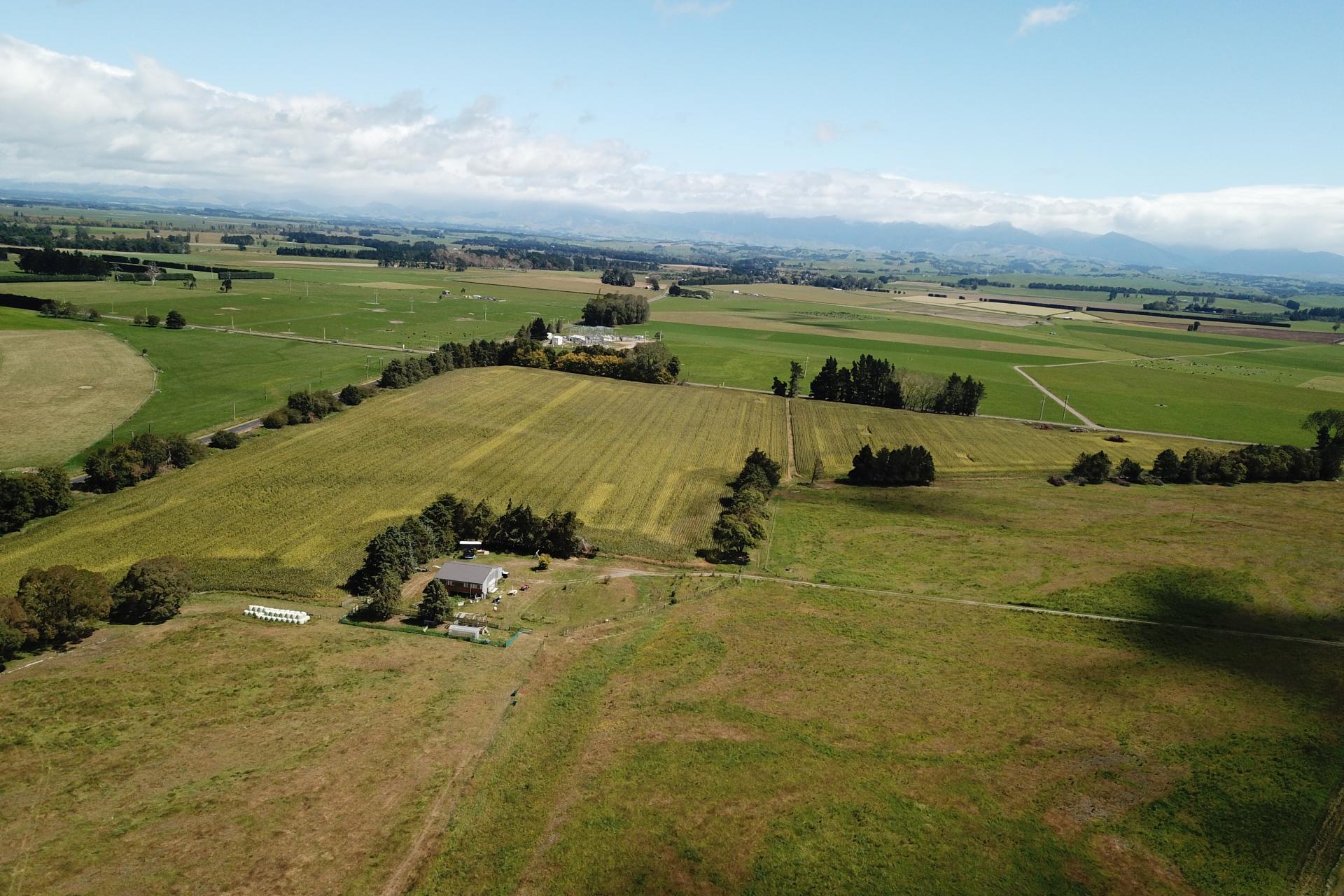 75 Wakarara Road, Ongaonga