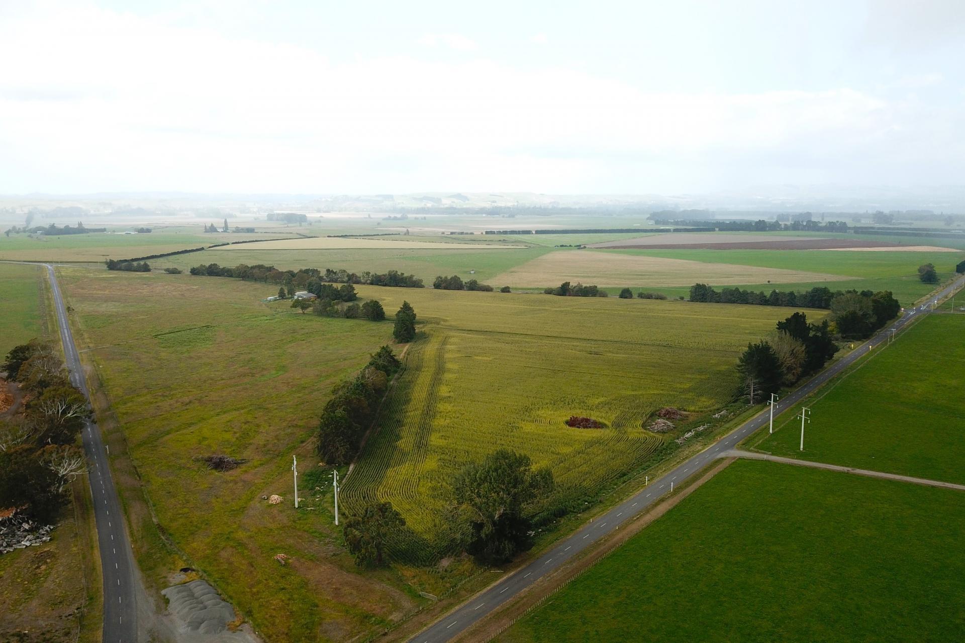 75 Wakarara Road, Ongaonga