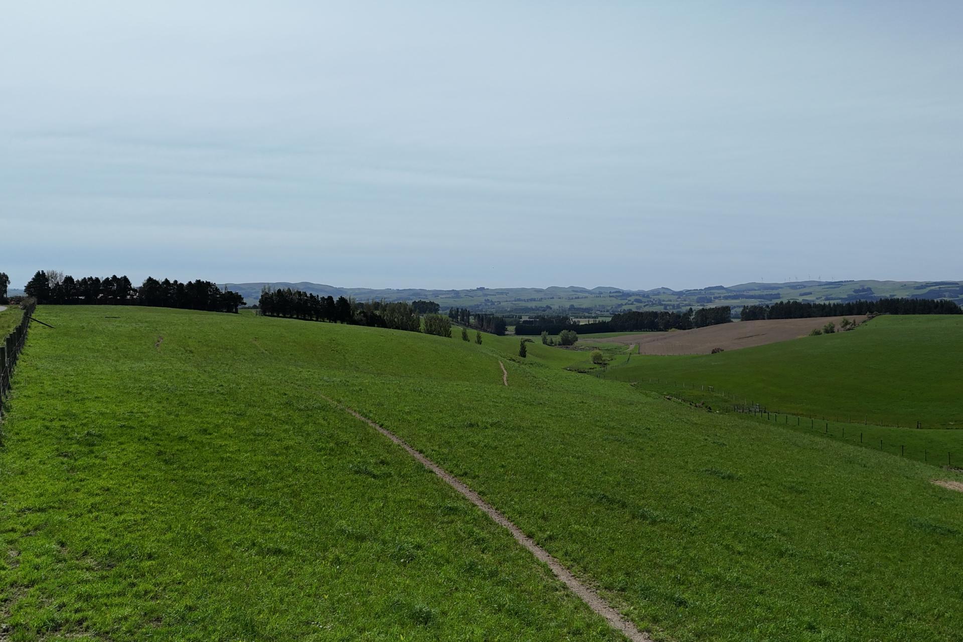 Glendhu Road, Mataura