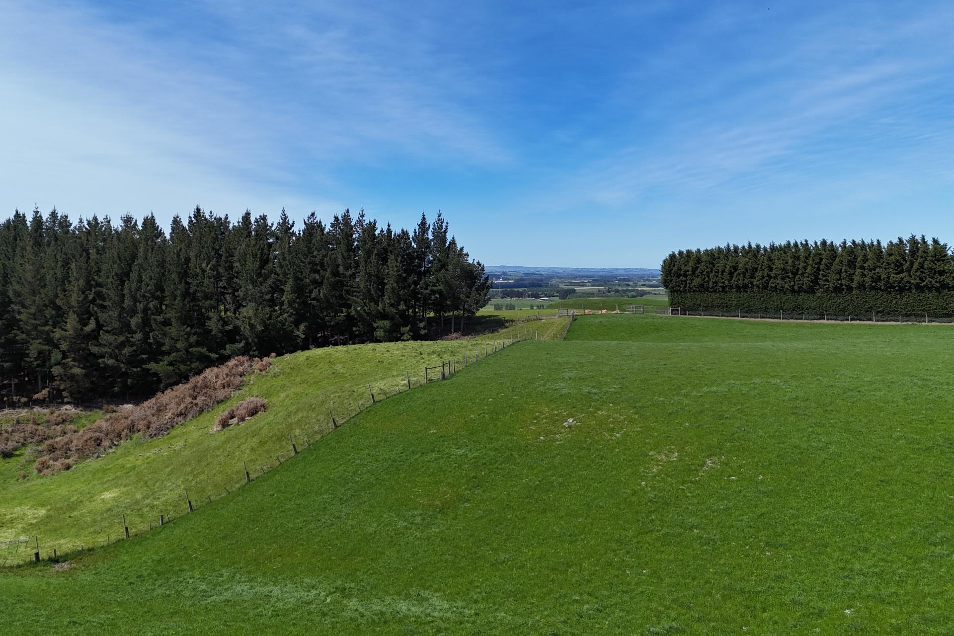 Glendhu Road, Mataura